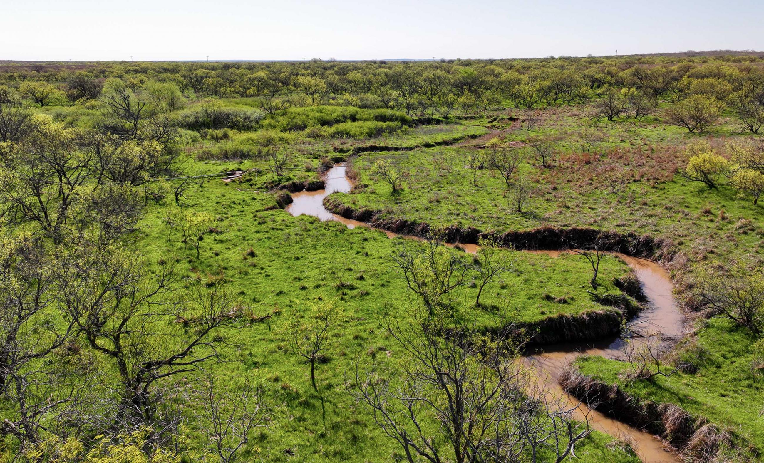 Springs Ranch | Chas S. Middleton