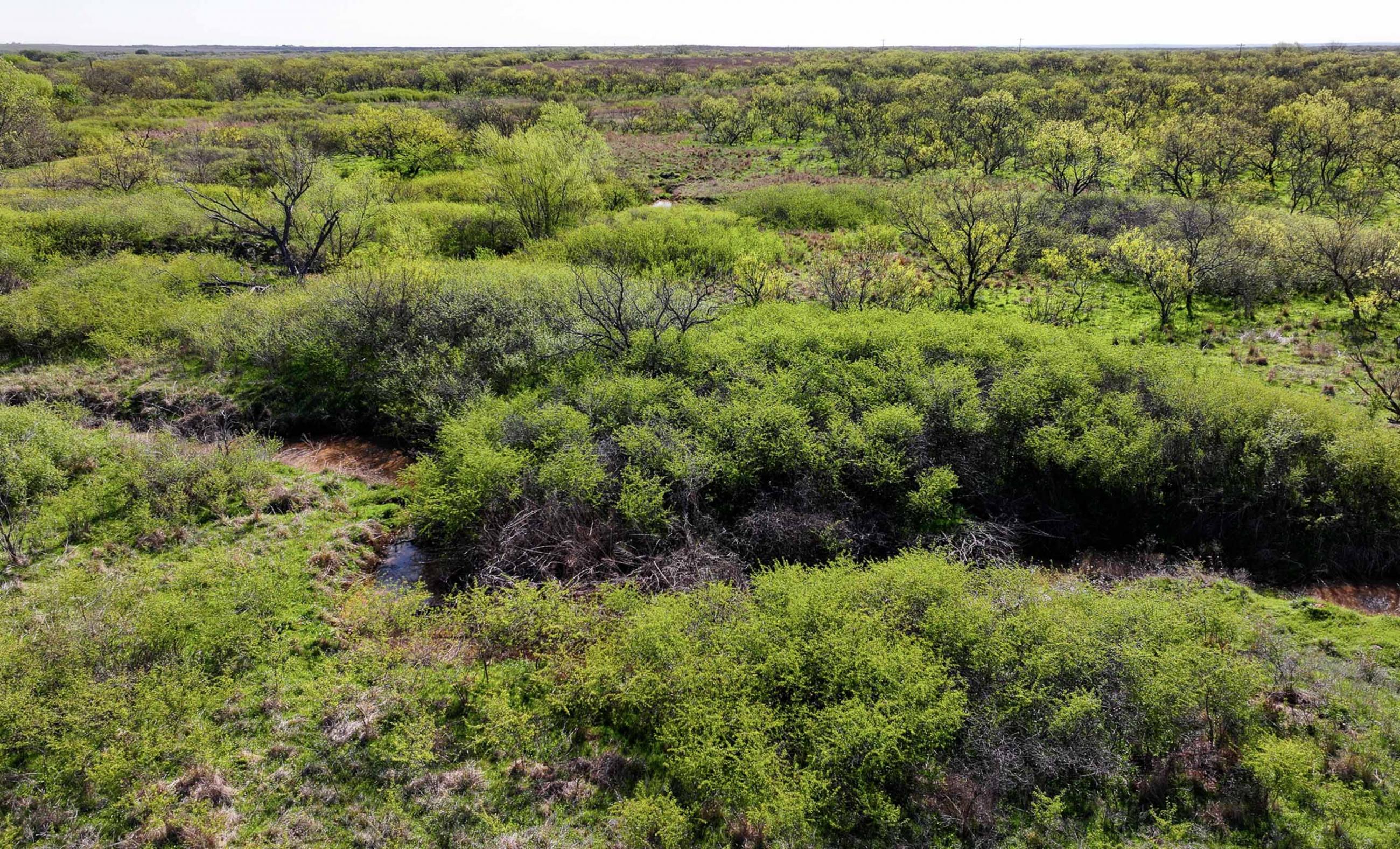 Springs Ranch | Chas S. Middleton