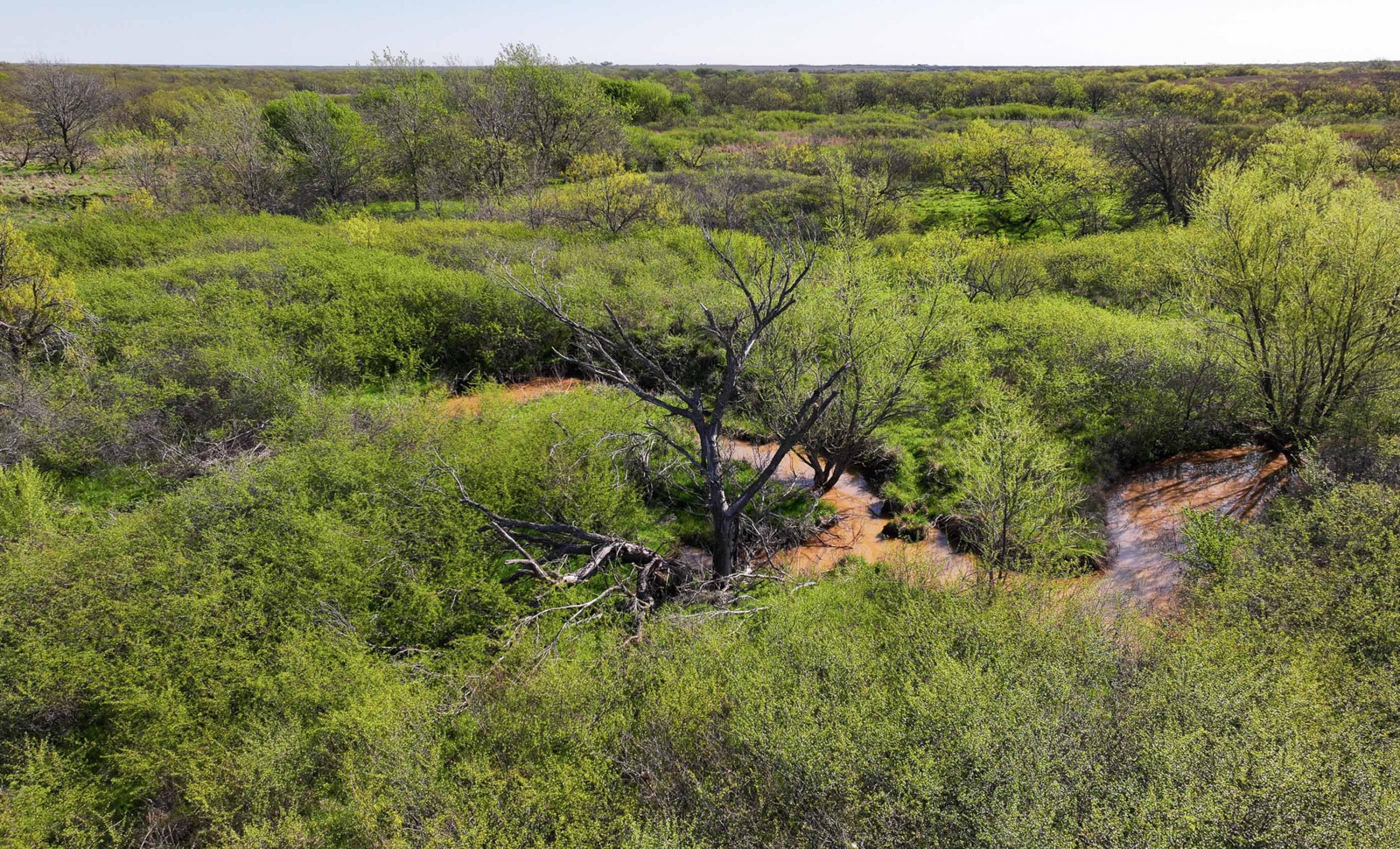 Springs Ranch | Chas S. Middleton