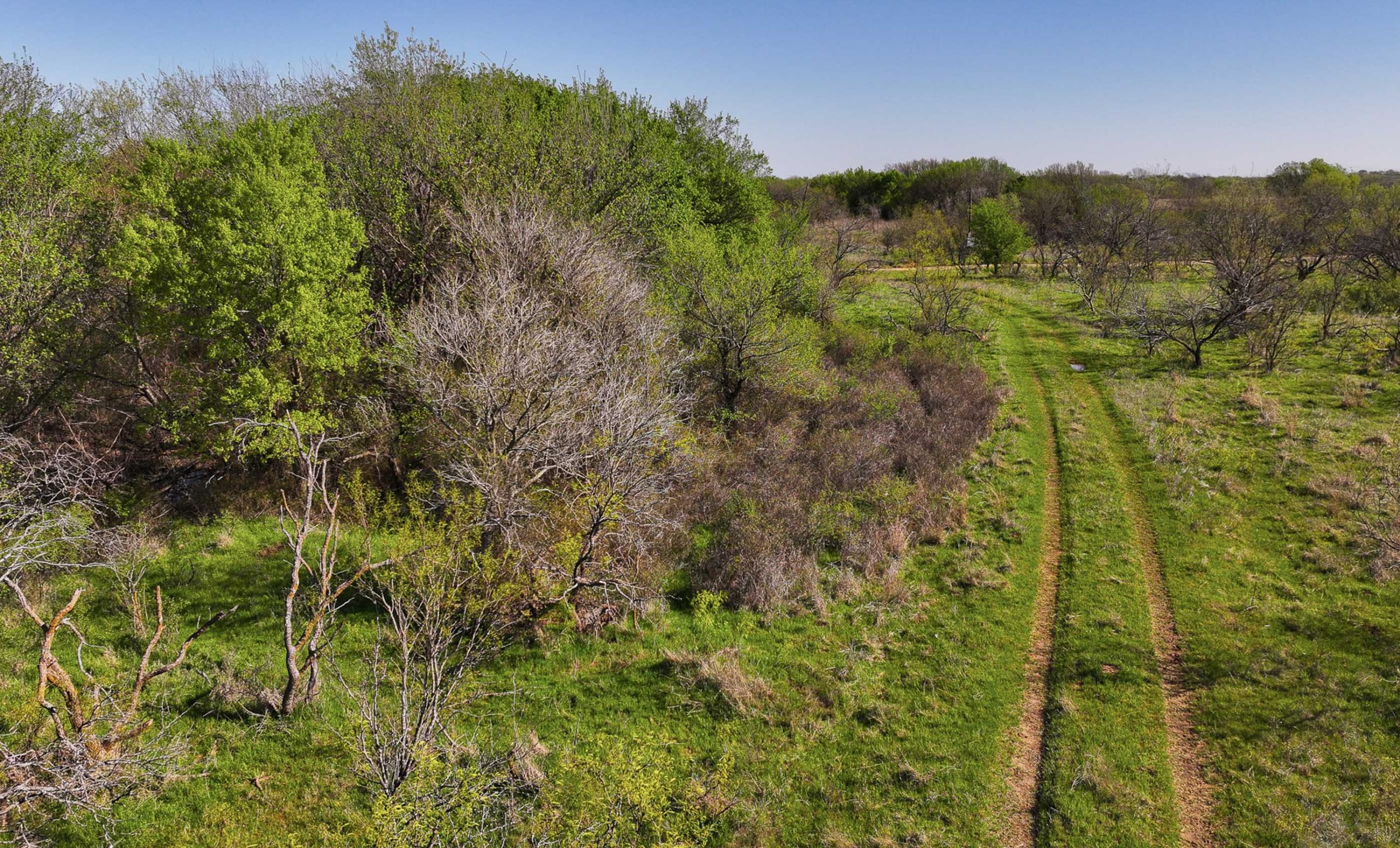Springs Ranch | Chas S. Middleton