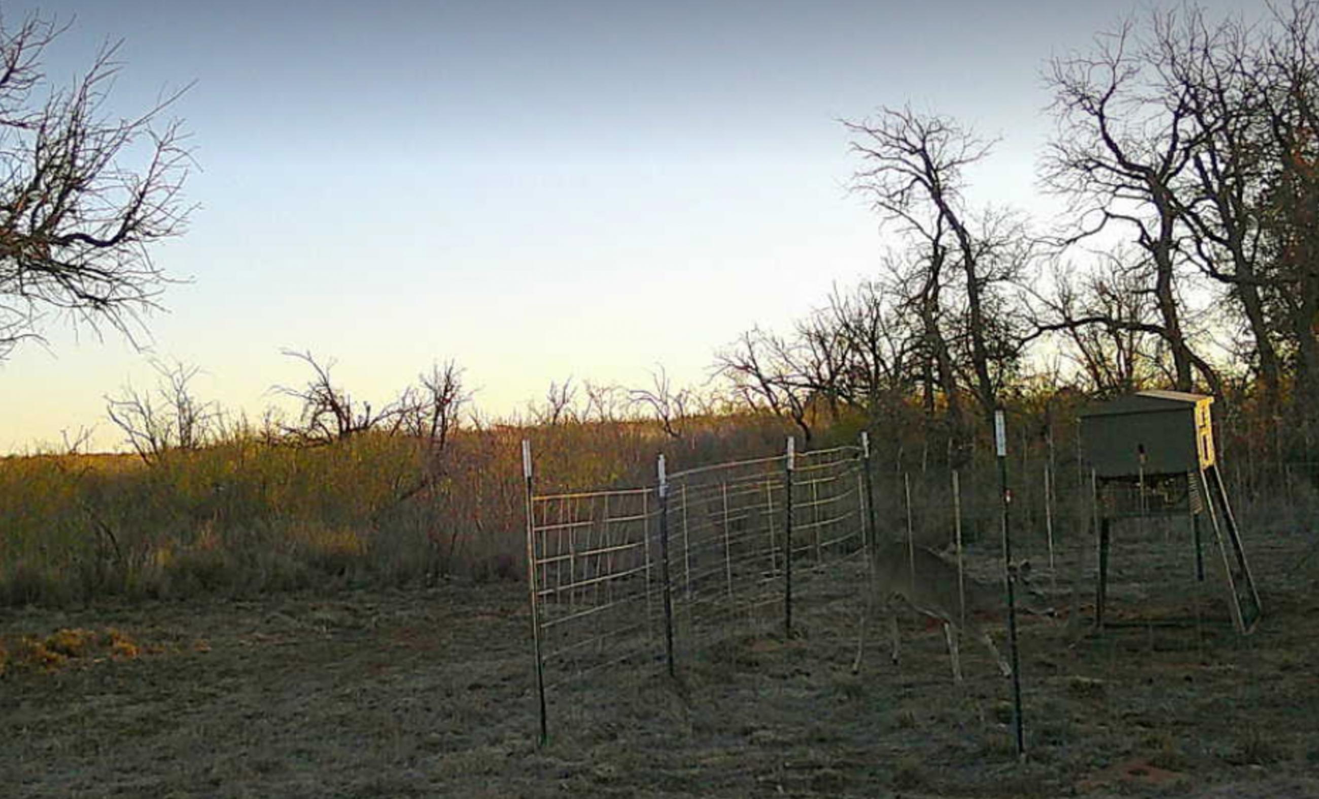 Carter Ranch | Chas S. Middleton
