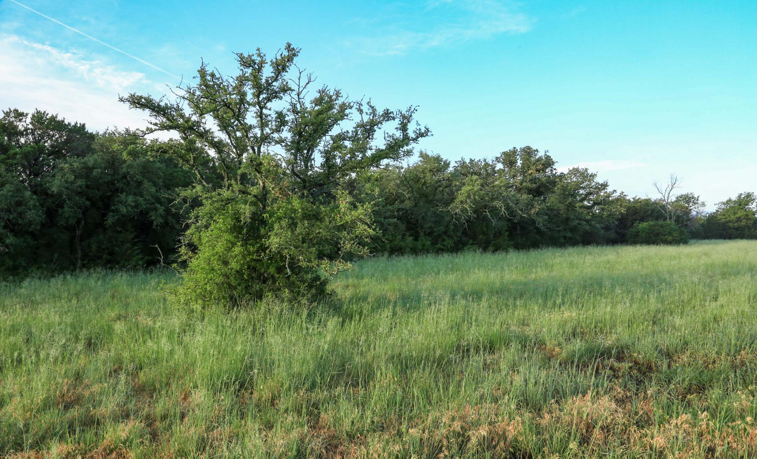 Indian Hills Ranch property photograph 47