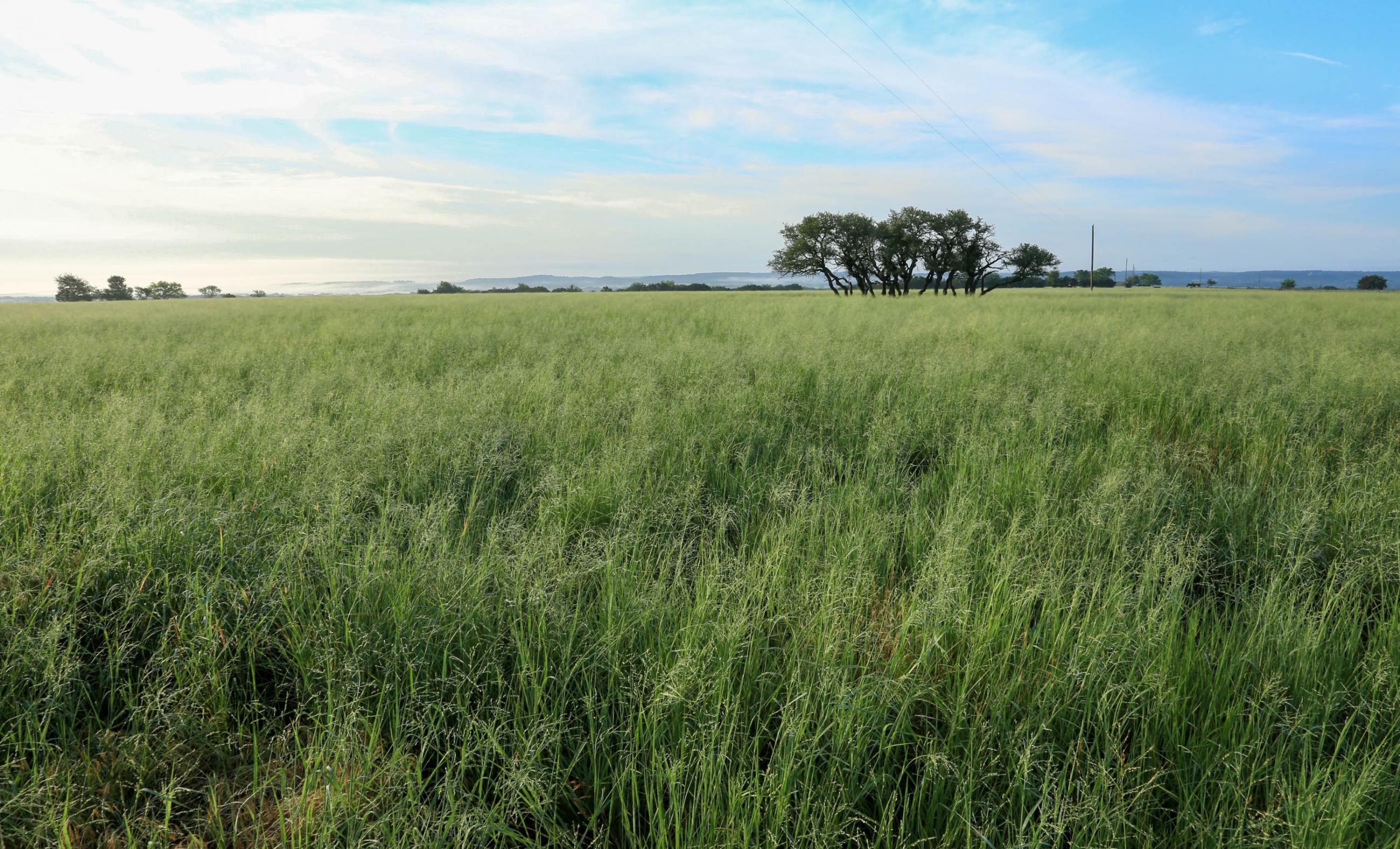 Indian Hills Ranch property photograph 5