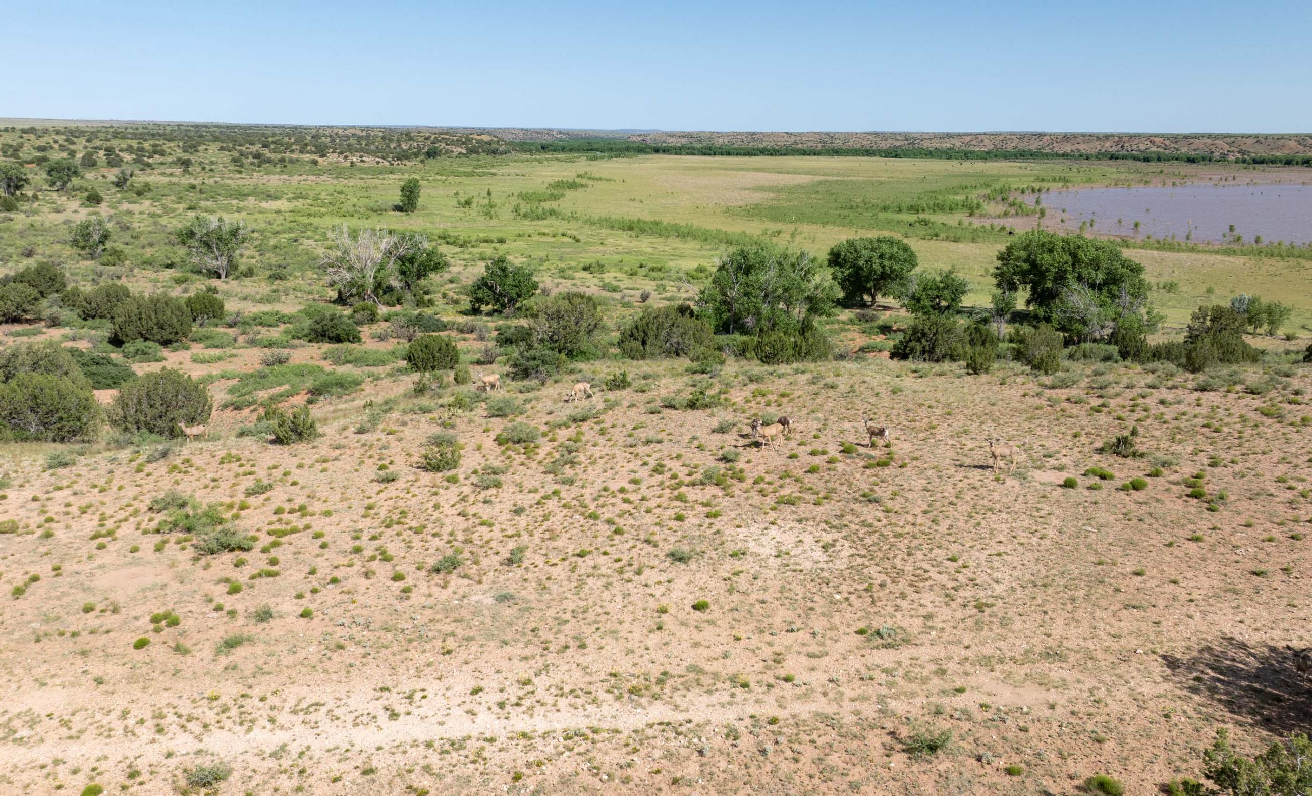 Lake Sumner Ranch | Chas S. Middleton