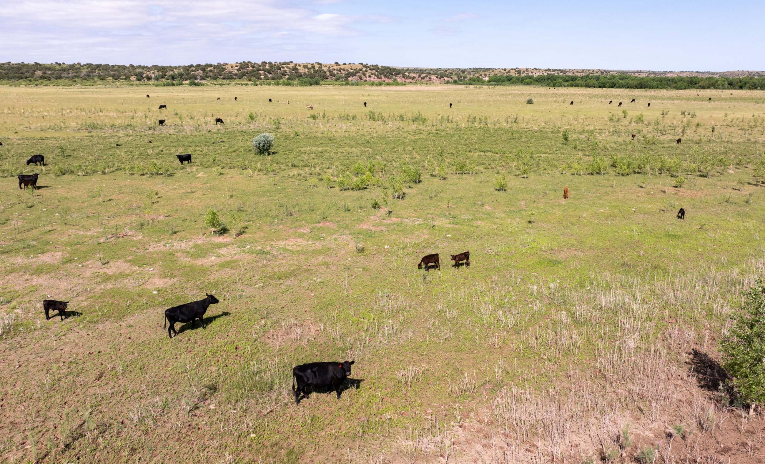 Lake Sumner Ranch | Chas S. Middleton