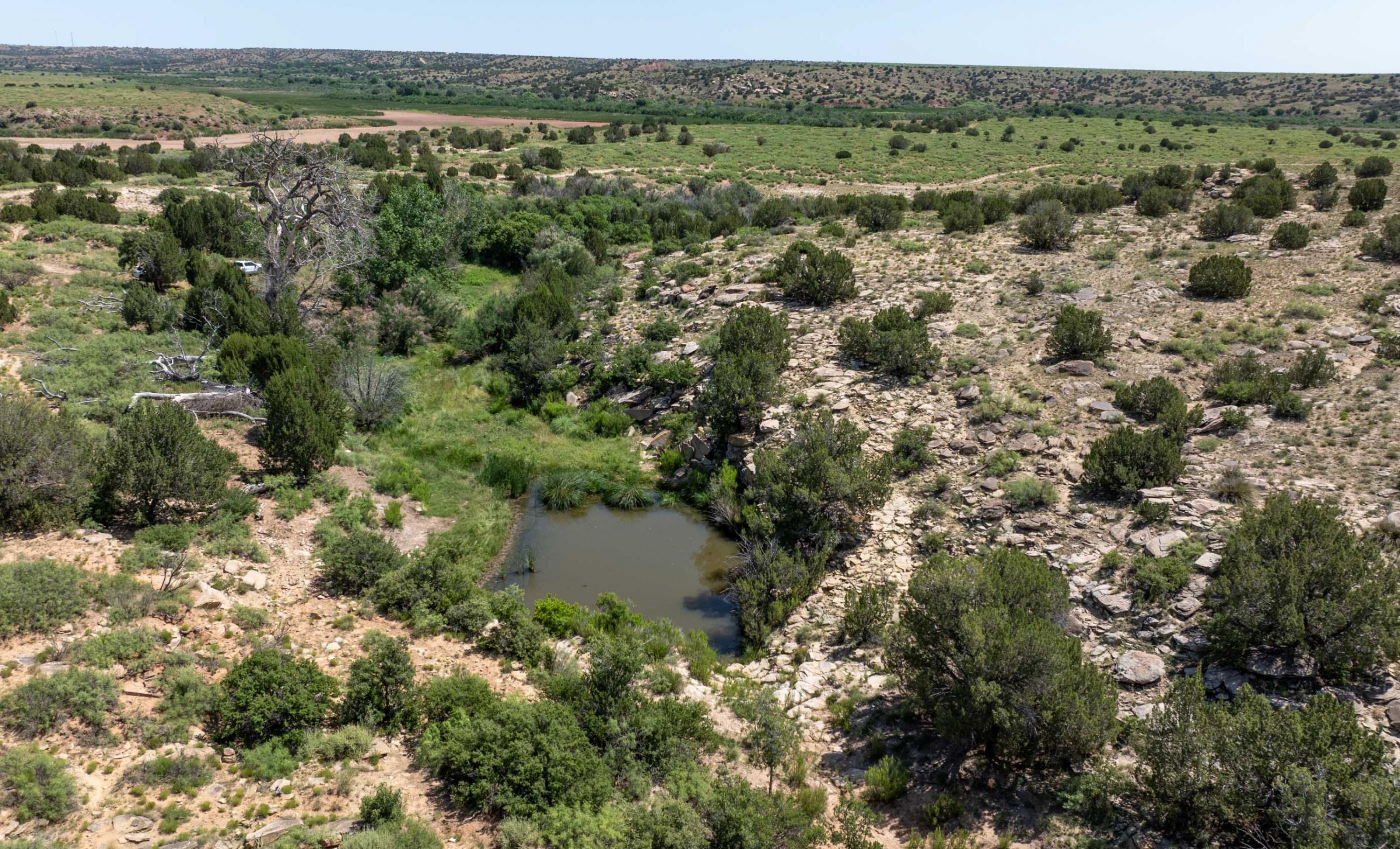 Lake Sumner Ranch | Chas S. Middleton