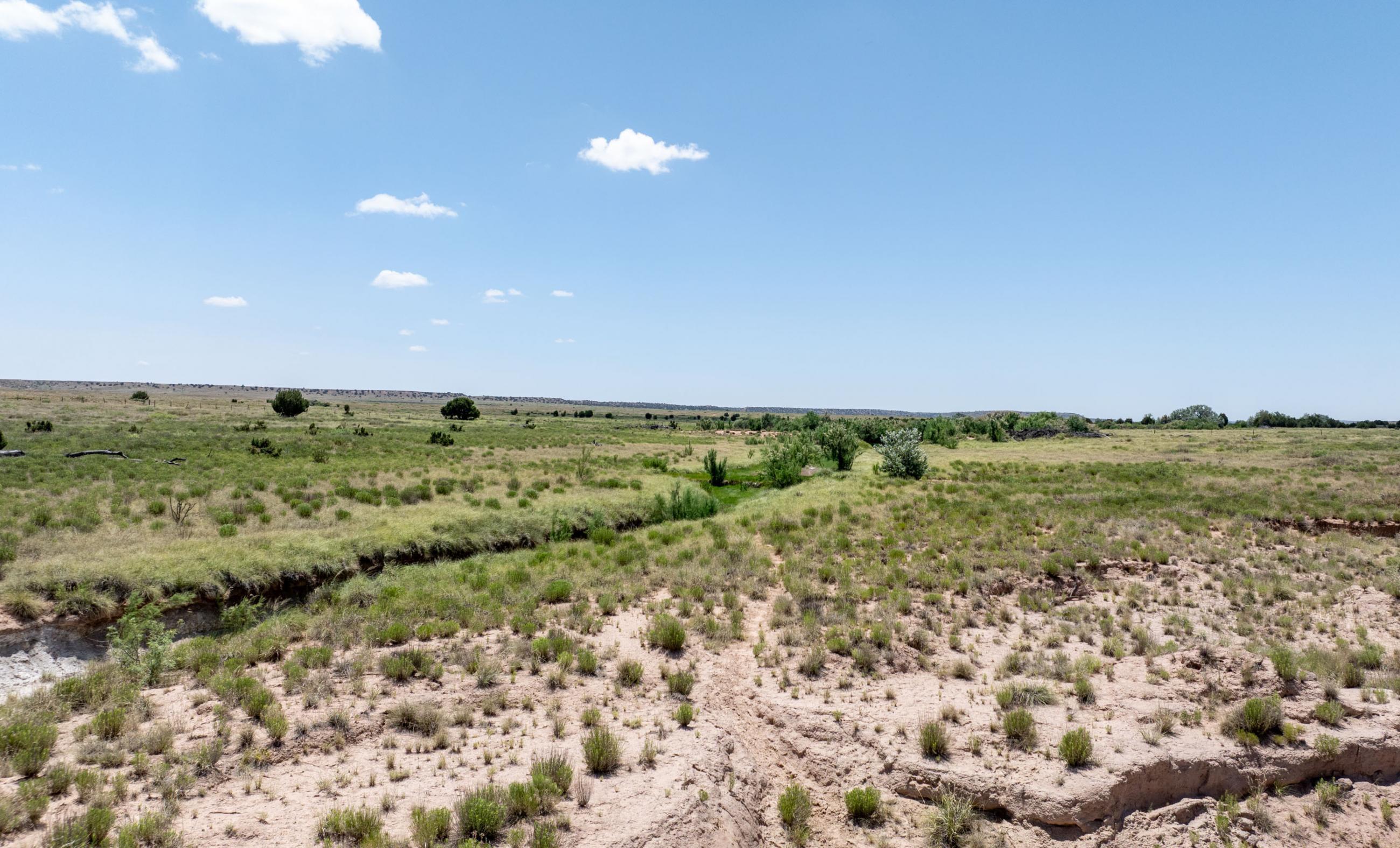 Lake Sumner Ranch | Chas S. Middleton