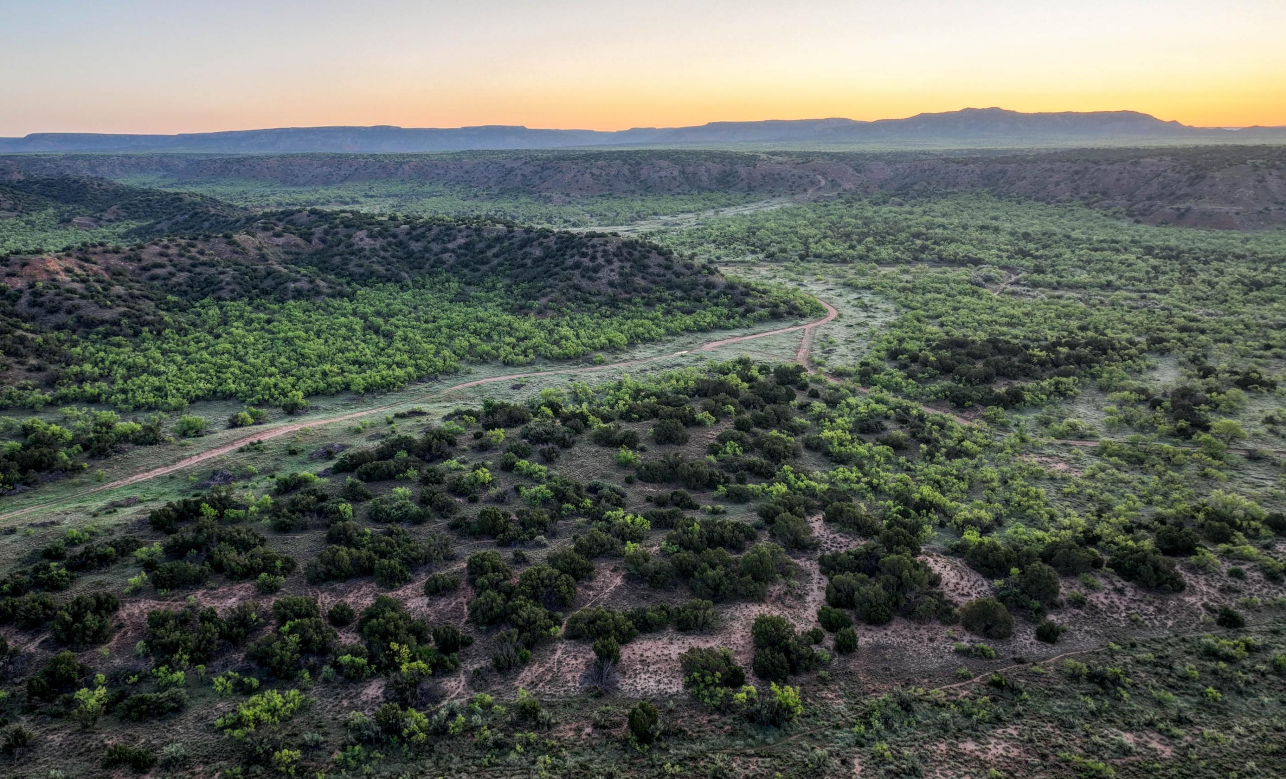 Diamond A Palo Duro Canyon Ranch property photograph 81
