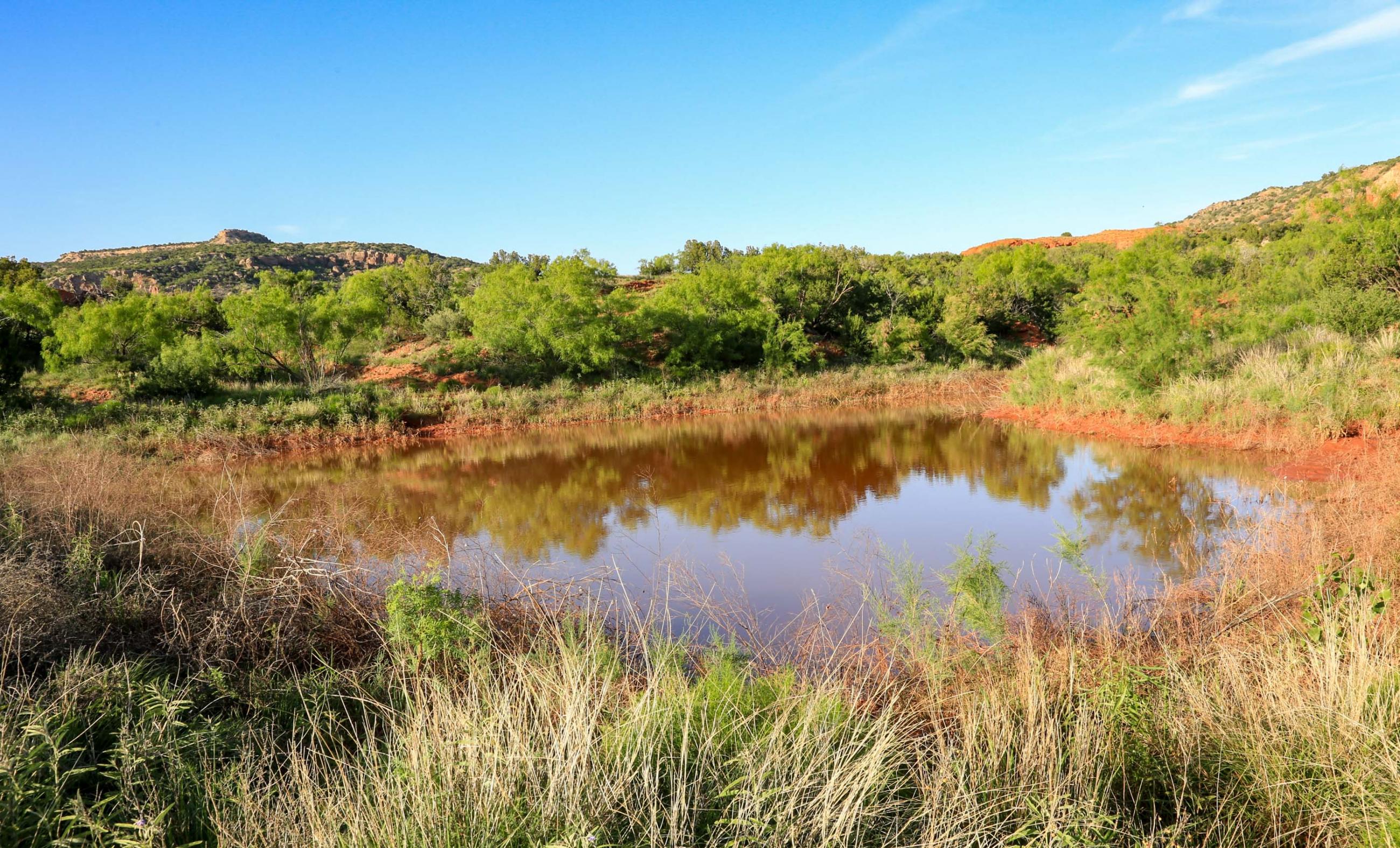 Diamond A Palo Duro Canyon Ranch property photograph 42