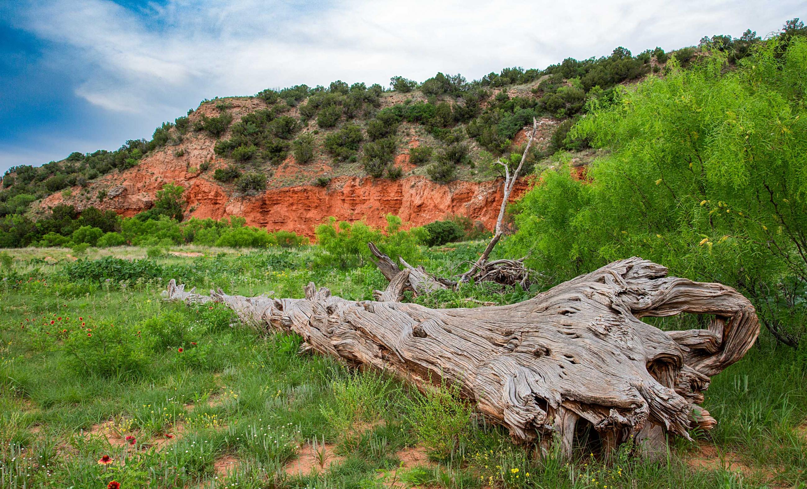 Diamond A Palo Duro Canyon Ranch property photograph 8