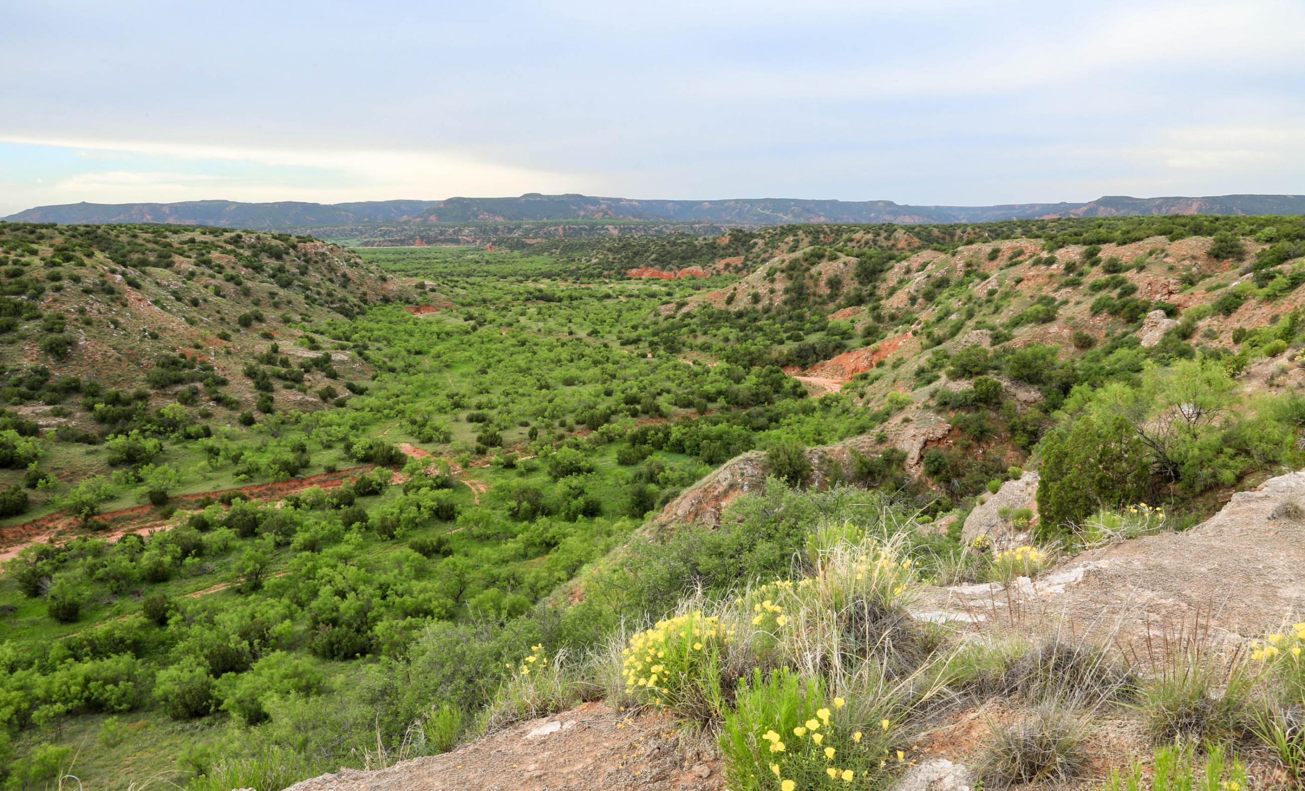 Diamond A Palo Duro Canyon Ranch property photograph 7