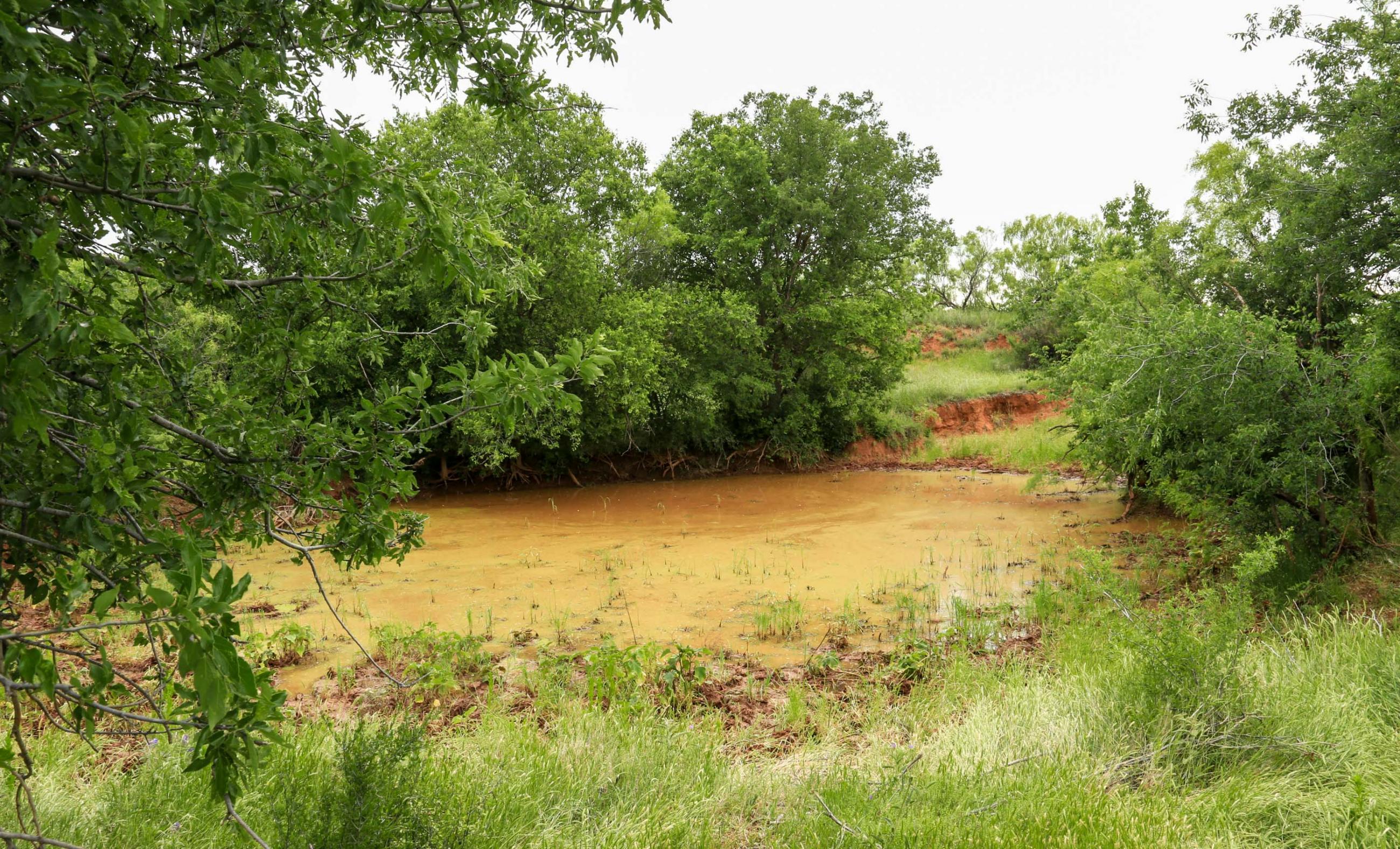 Diamond A Palo Duro Canyon Ranch property photograph 80