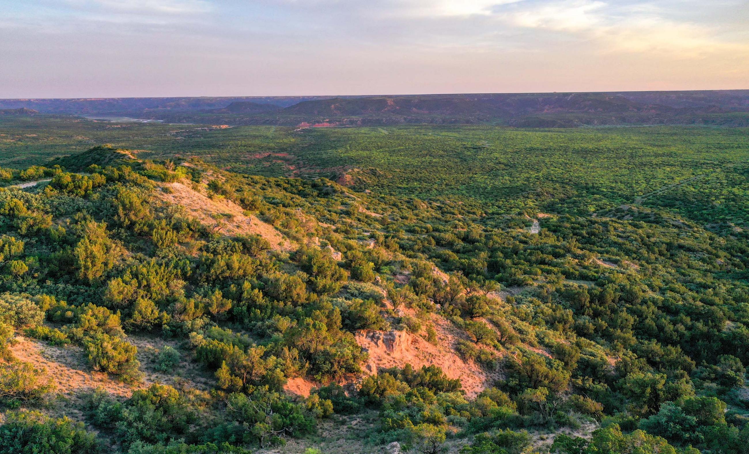 Canyon ranch landscape at Diamond A Palo Duro Canyon Ranch
