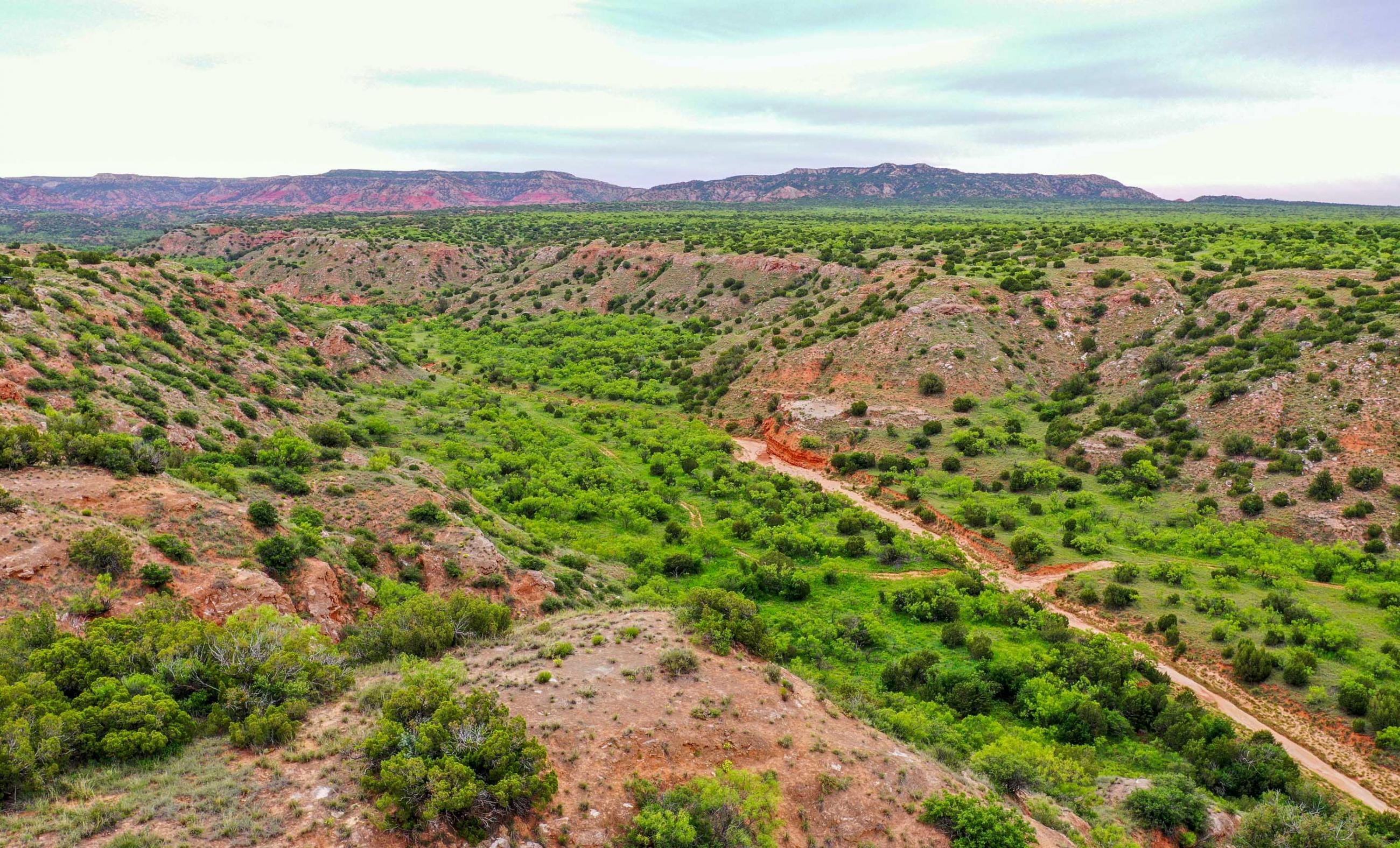 Diamond A Palo Duro Canyon Ranch property photograph 44