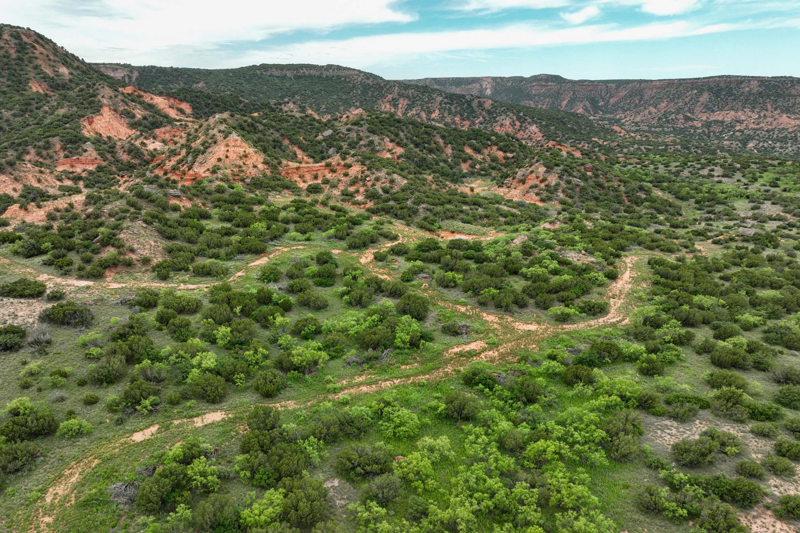 Diamond A Palo Duro Canyon Ranch property photograph 69