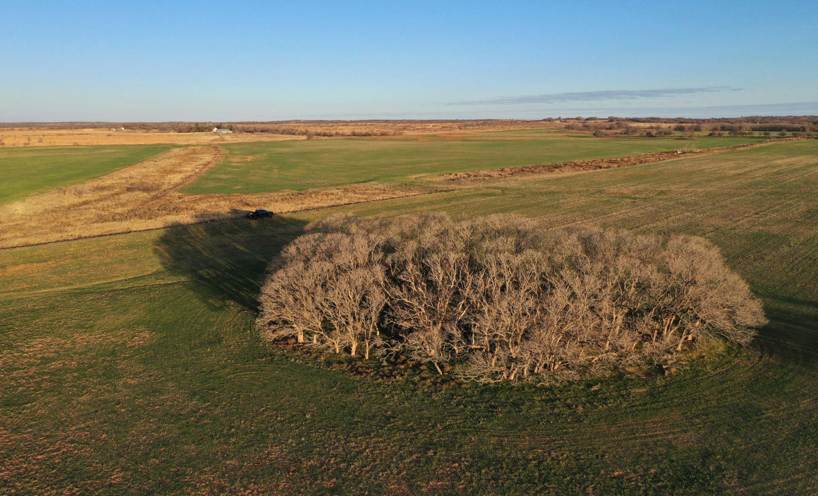 Garden Valley Land & Cattle Co. property photograph 13