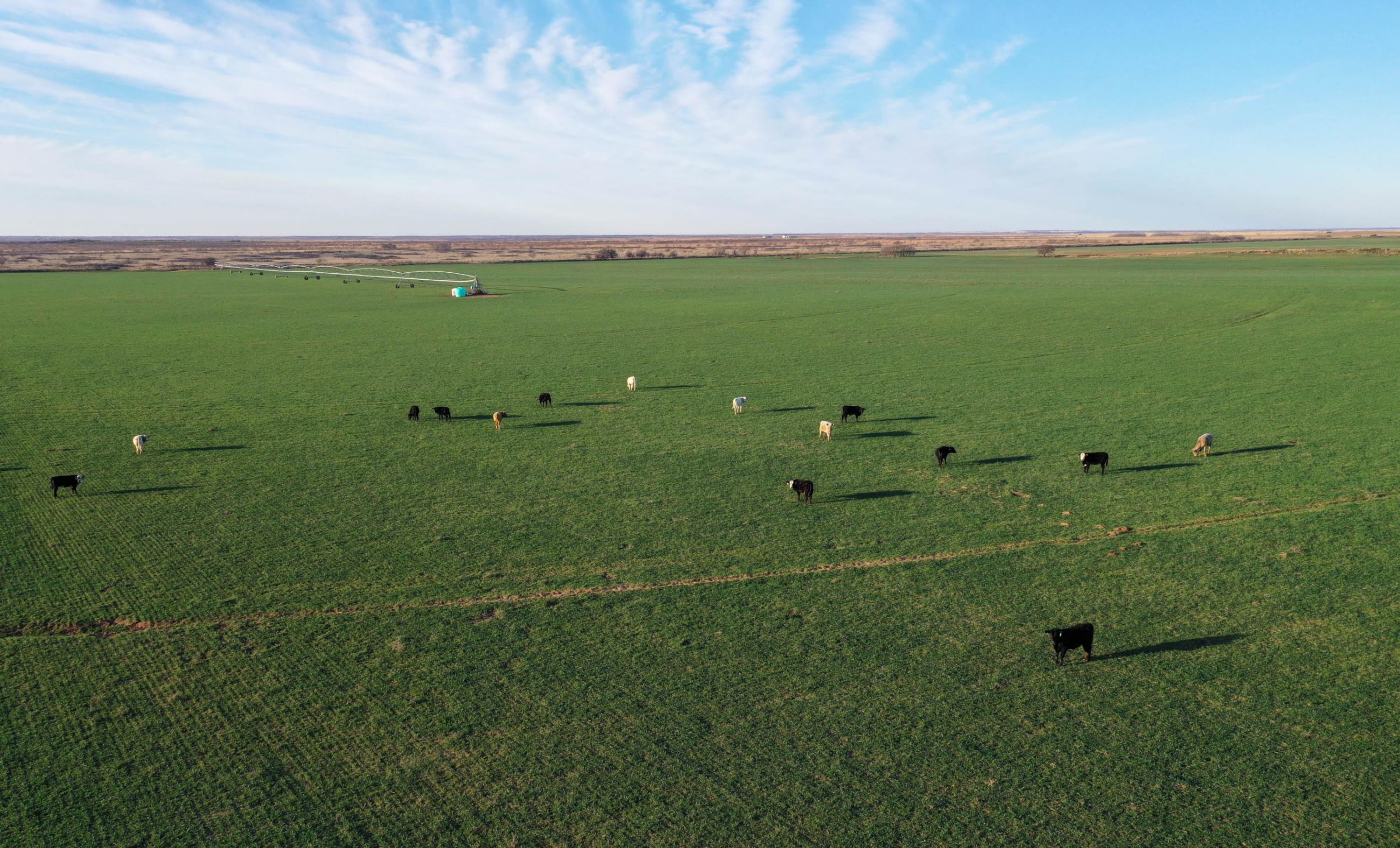 Garden Valley Land & Cattle Co. property photograph 1