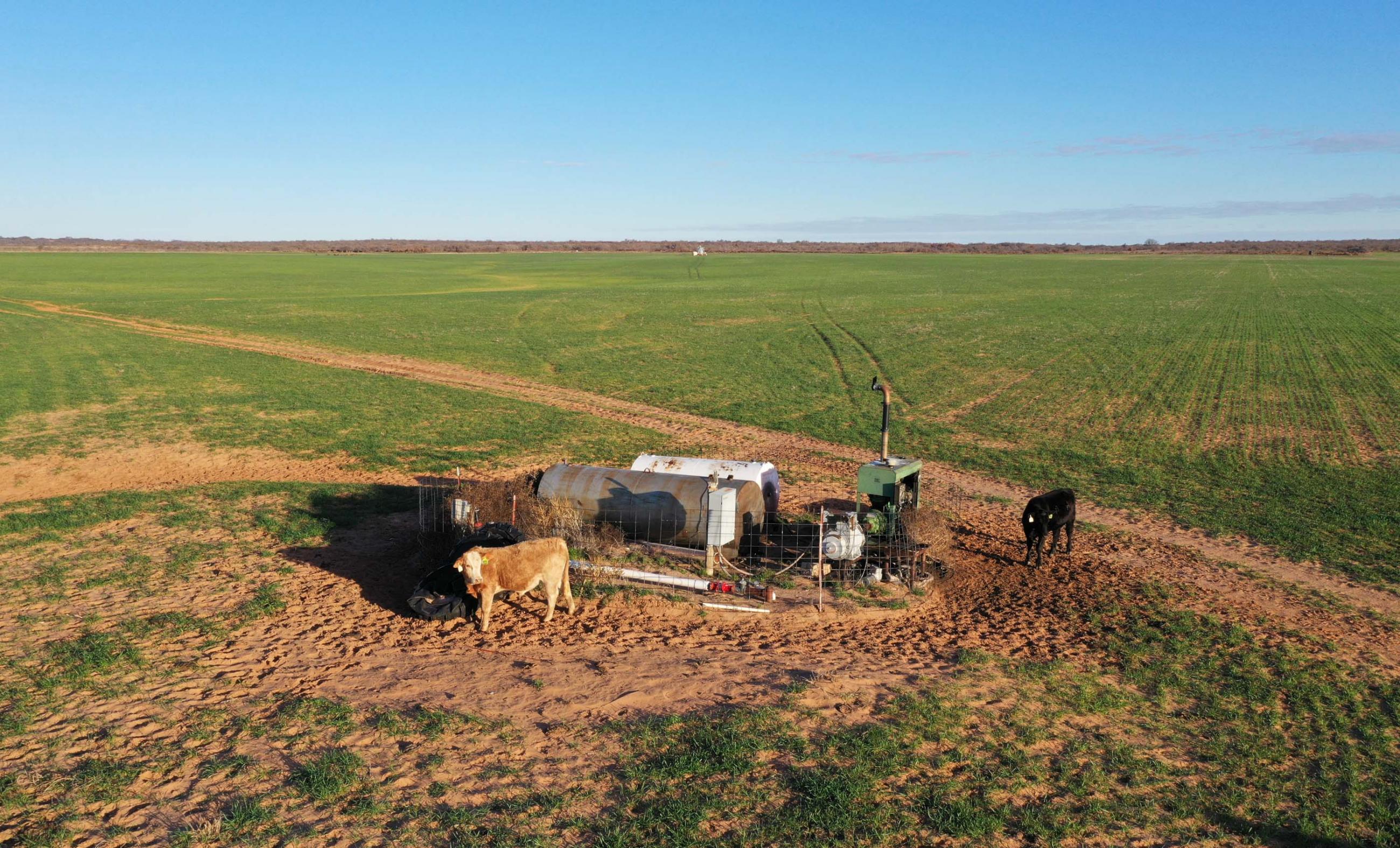 Garden Valley Land & Cattle Co. property photograph 8
