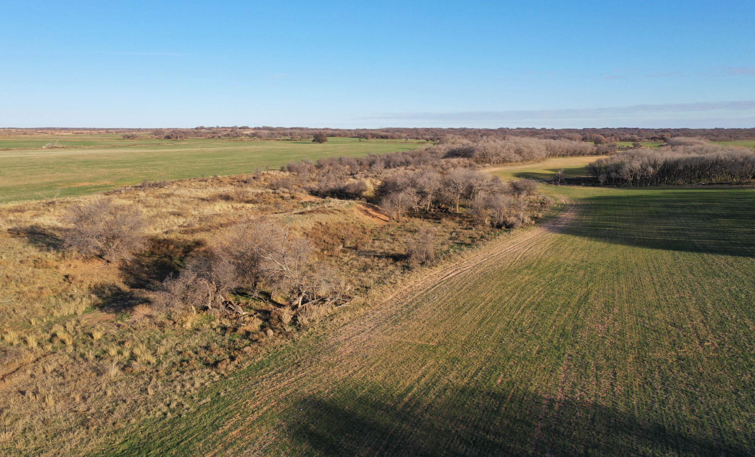 Garden Valley Land & Cattle Co. property photograph 39