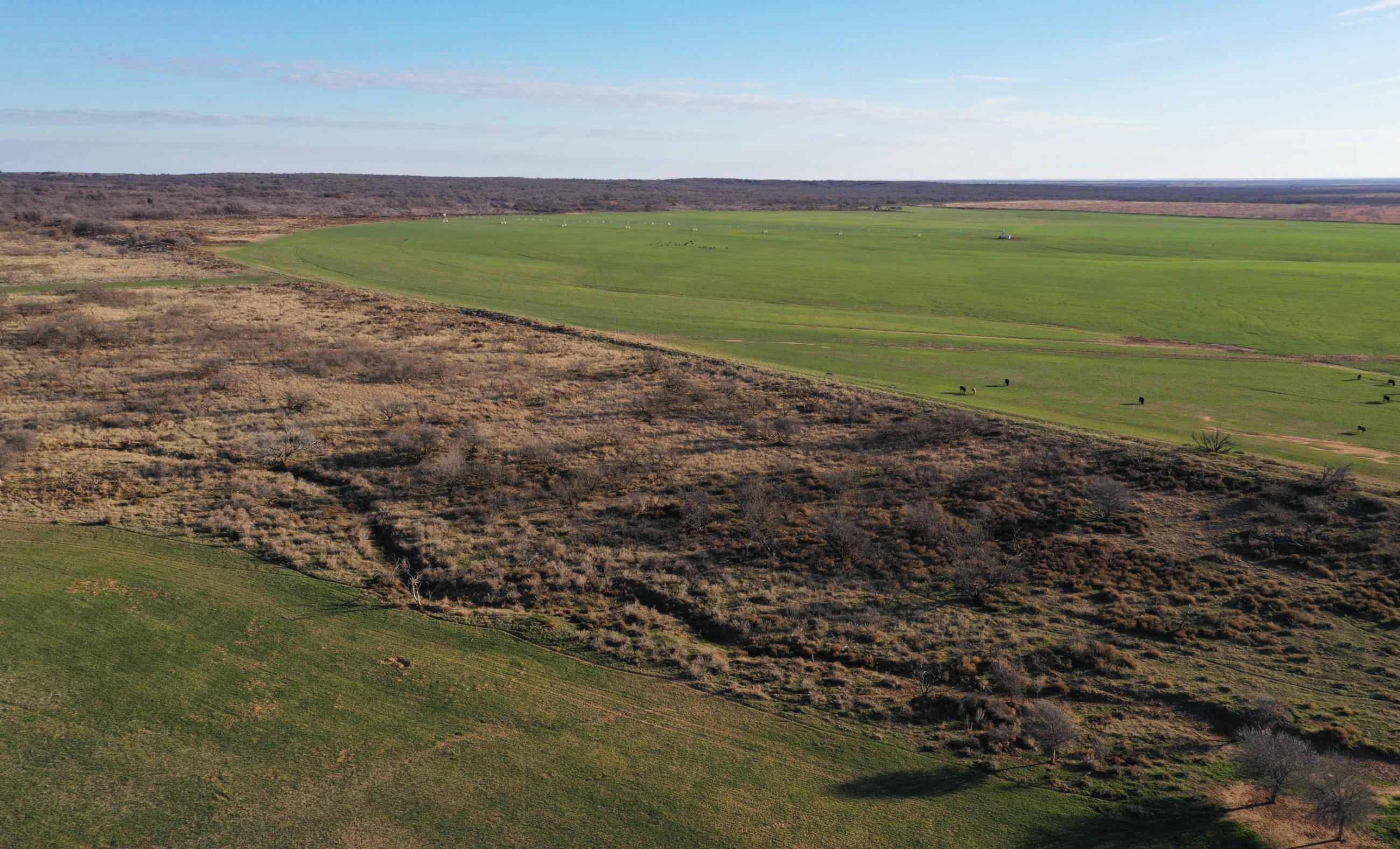 Garden Valley Land & Cattle Co. property photograph 12