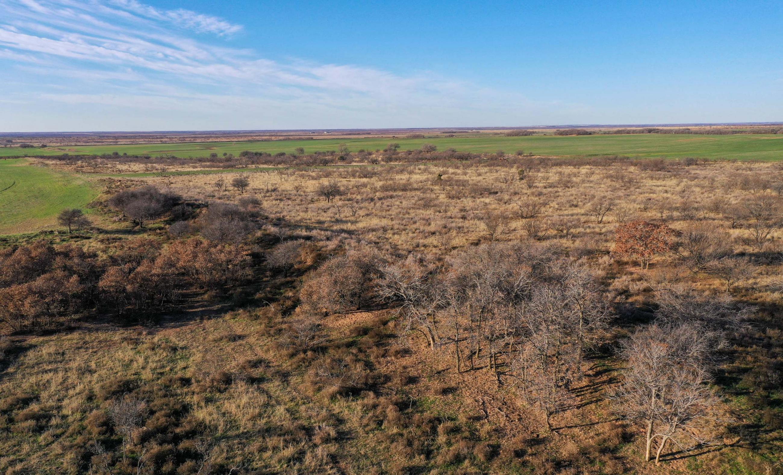 Garden Valley Land & Cattle Co. property photograph 40