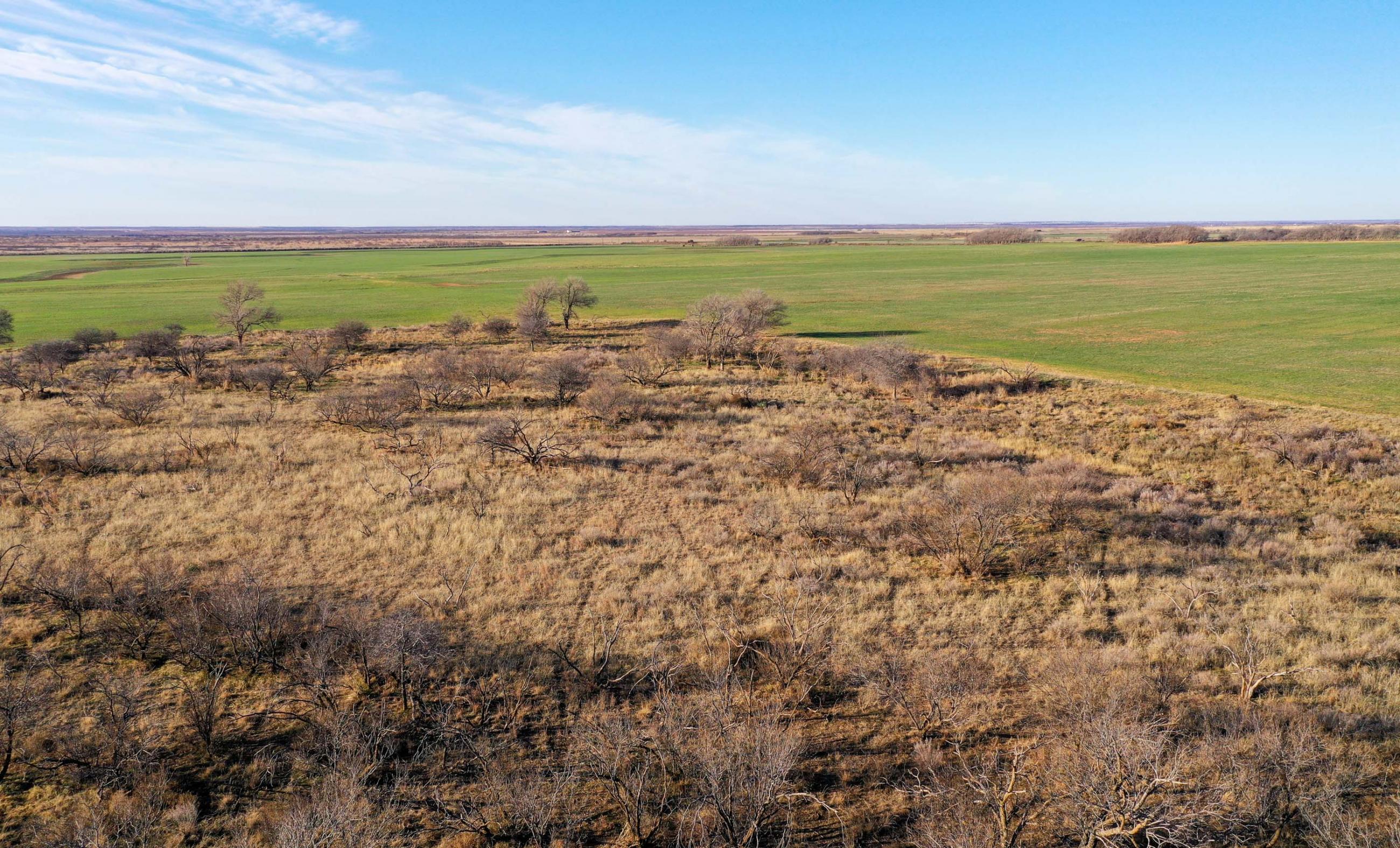 Garden Valley Land & Cattle Co. property photograph 14