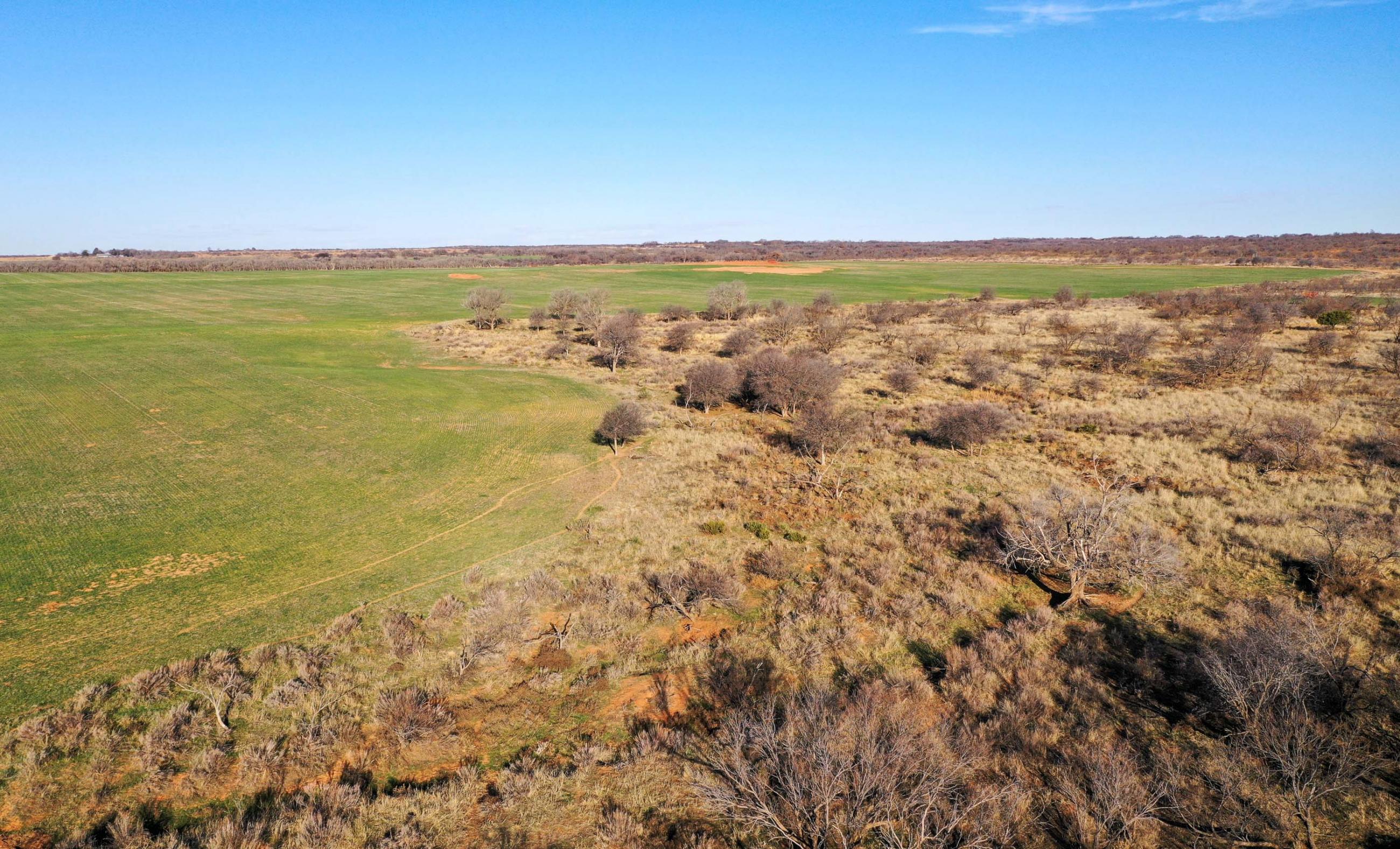 Garden Valley Land & Cattle Co. property photograph 5