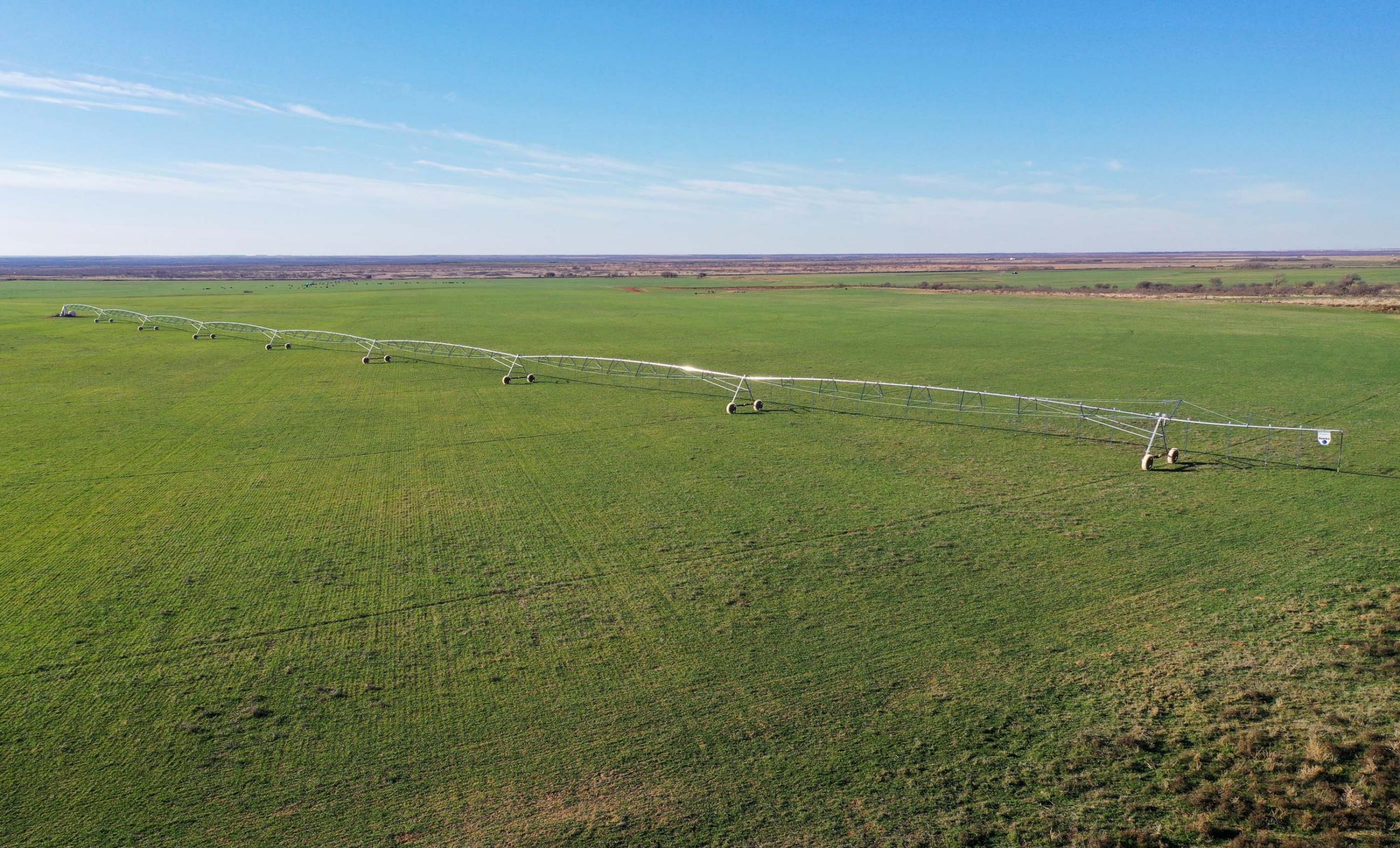 Garden Valley Land & Cattle Co. property photograph 3
