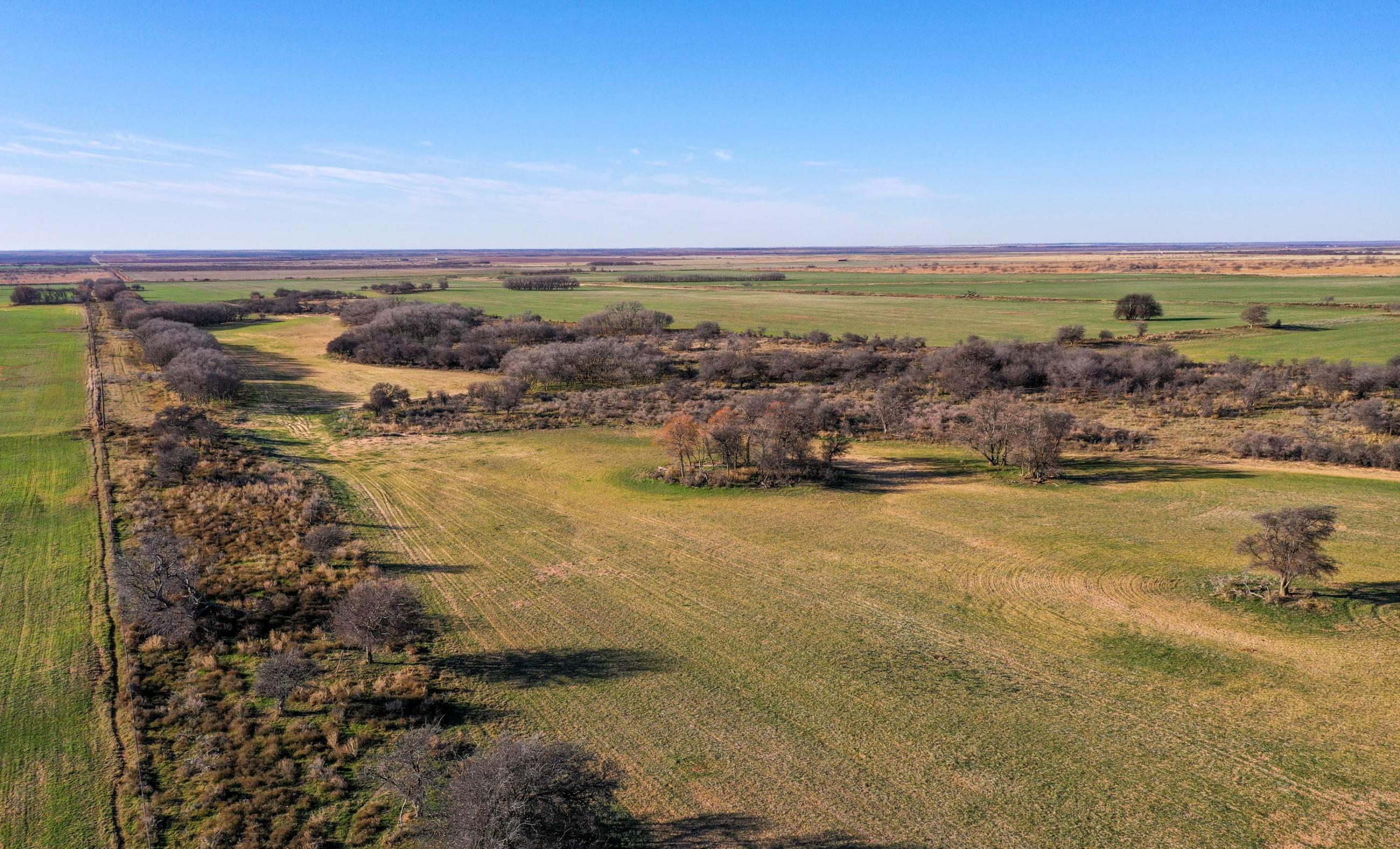 Garden Valley Land & Cattle Co. property photograph 33
