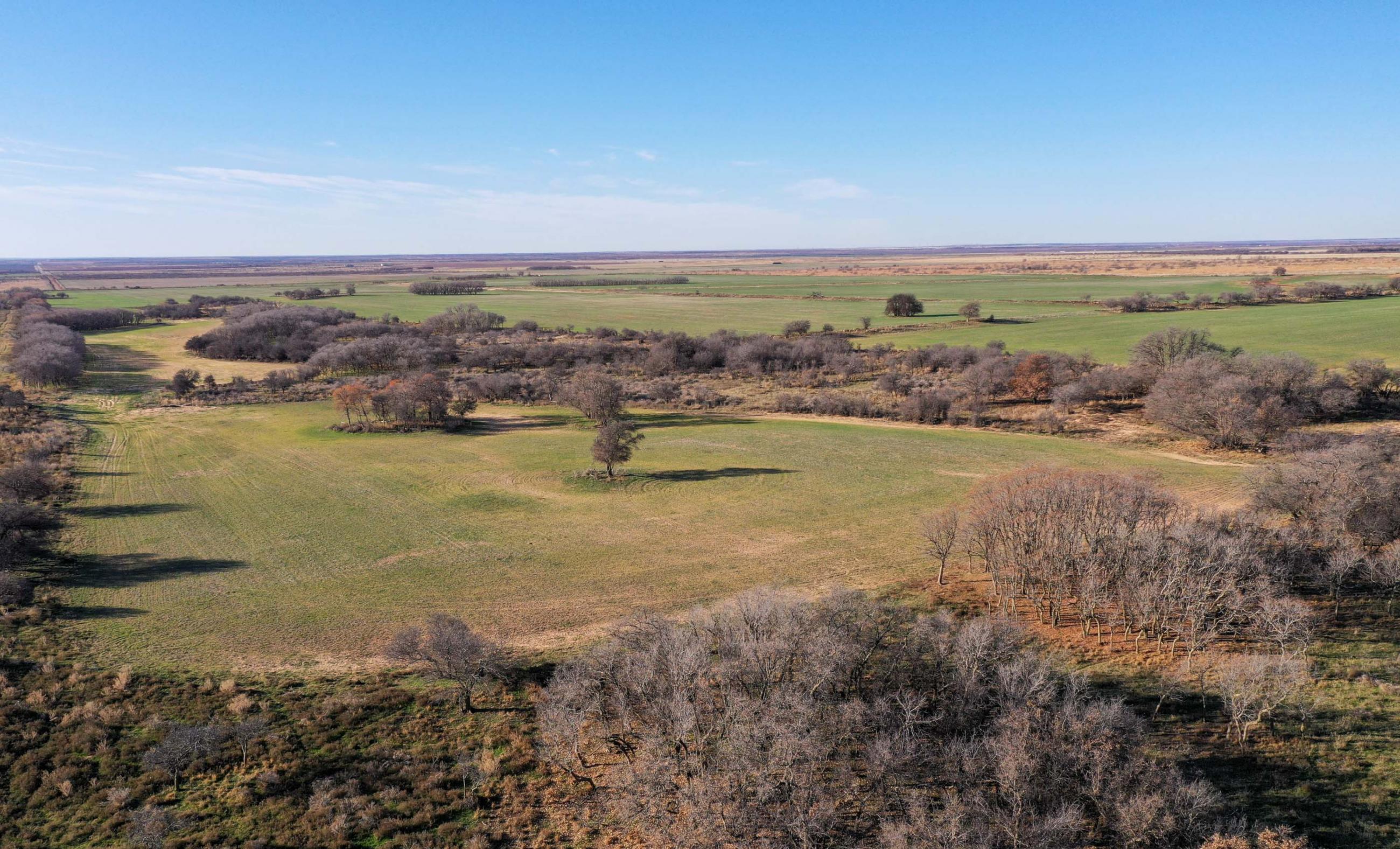 Garden Valley Land & Cattle Co. property photograph 25