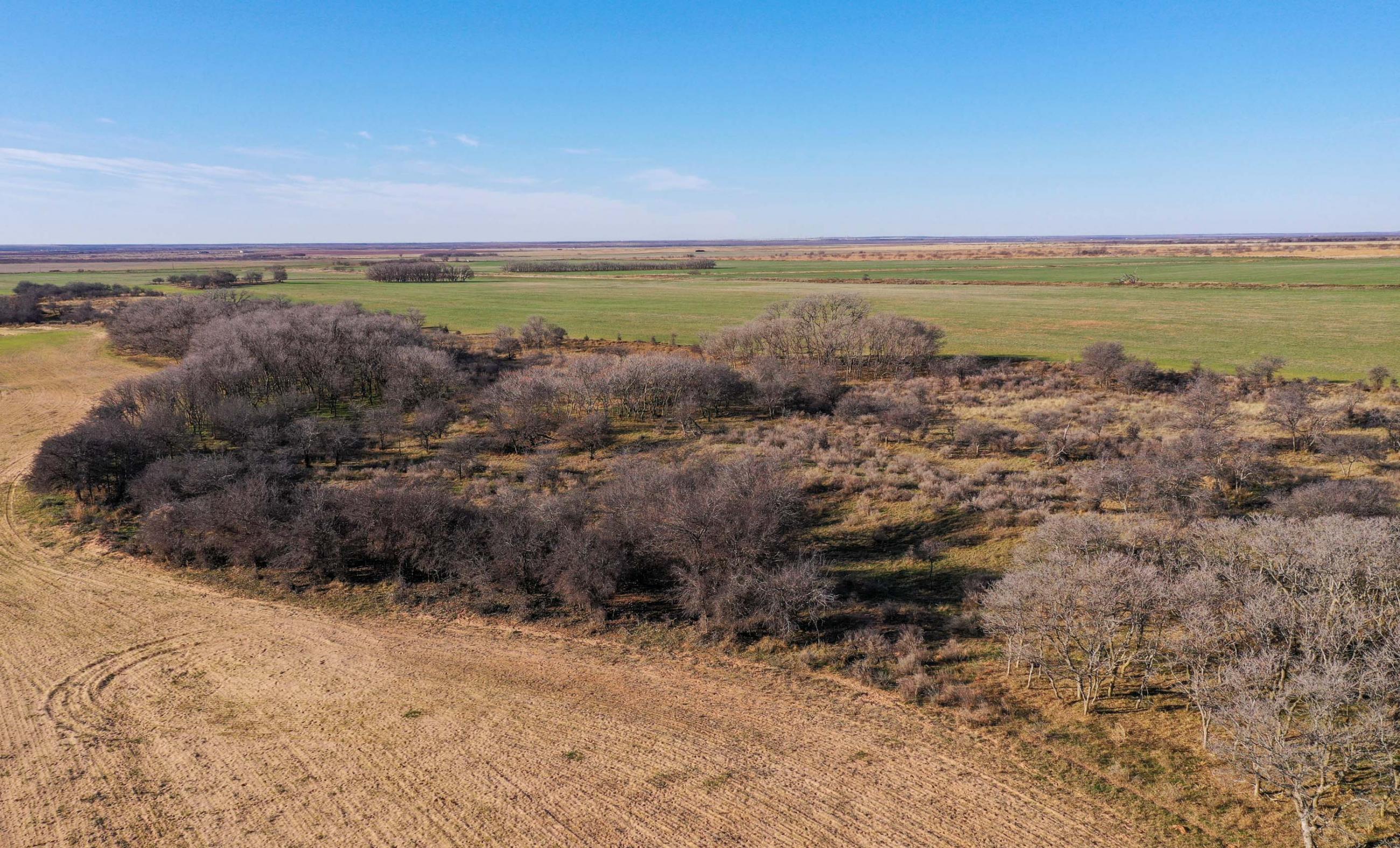 Garden Valley Land & Cattle Co. property photograph 26