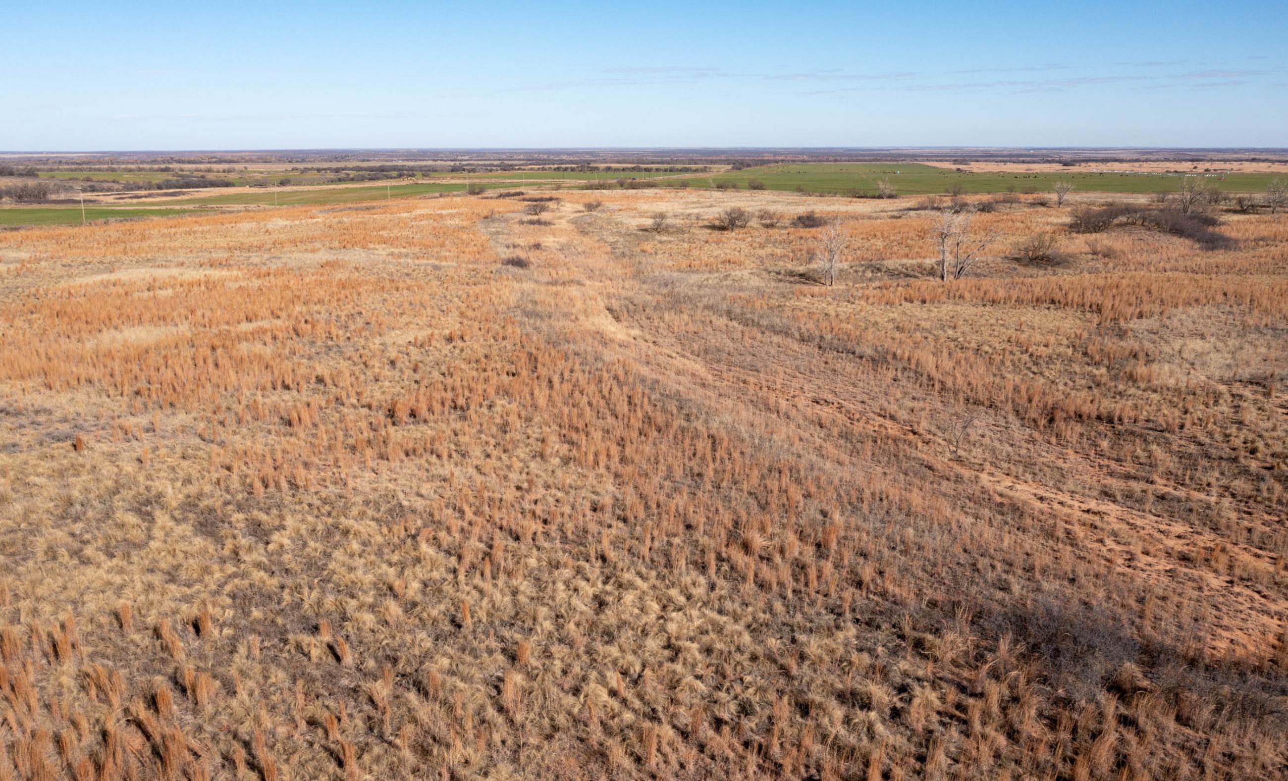Garden Valley Land & Cattle Co. property photograph 18
