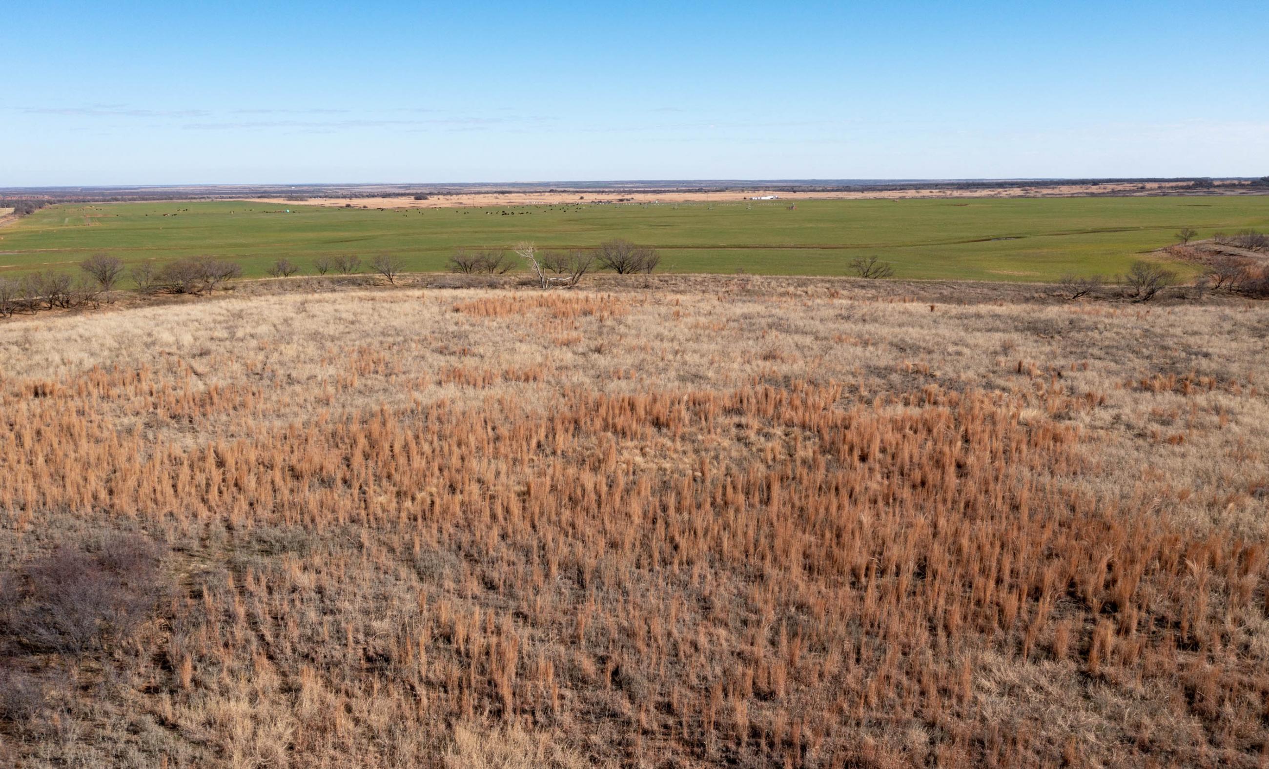 Garden Valley Land & Cattle Co. property photograph 16