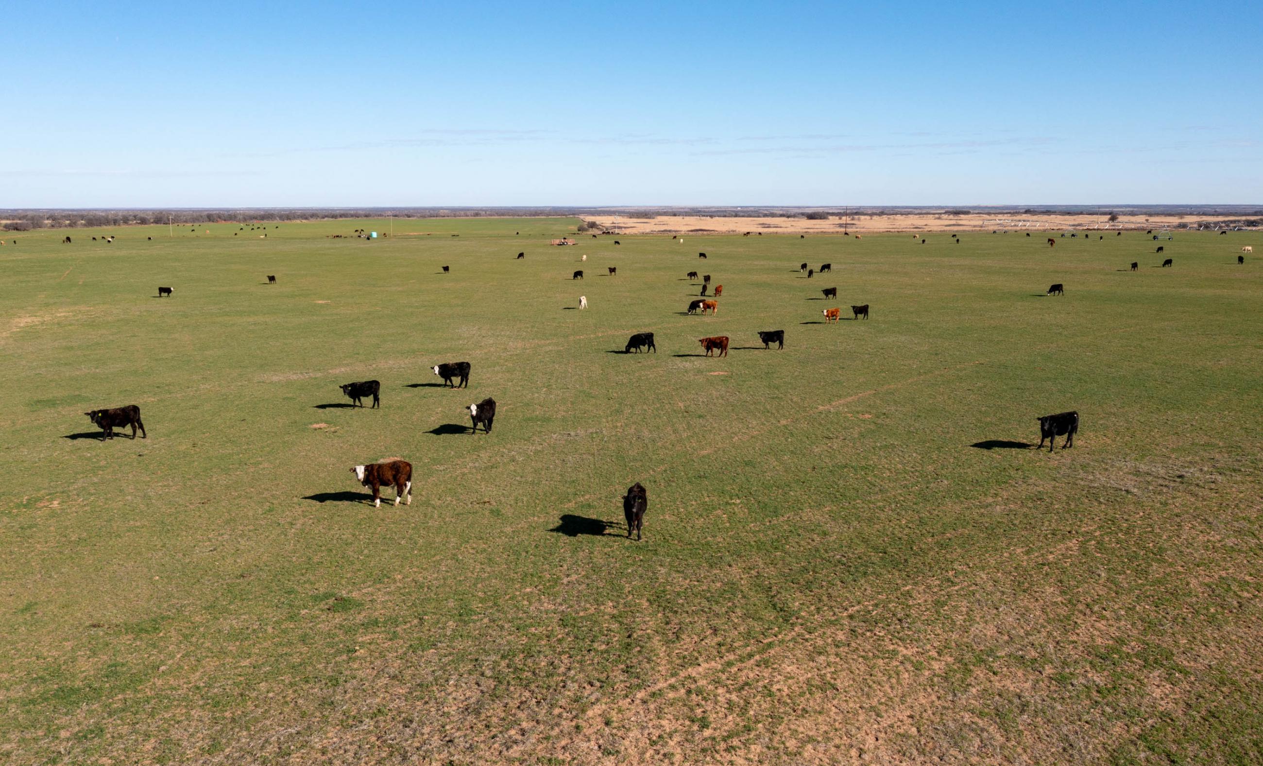 Garden Valley Land & Cattle Co. property photograph 17