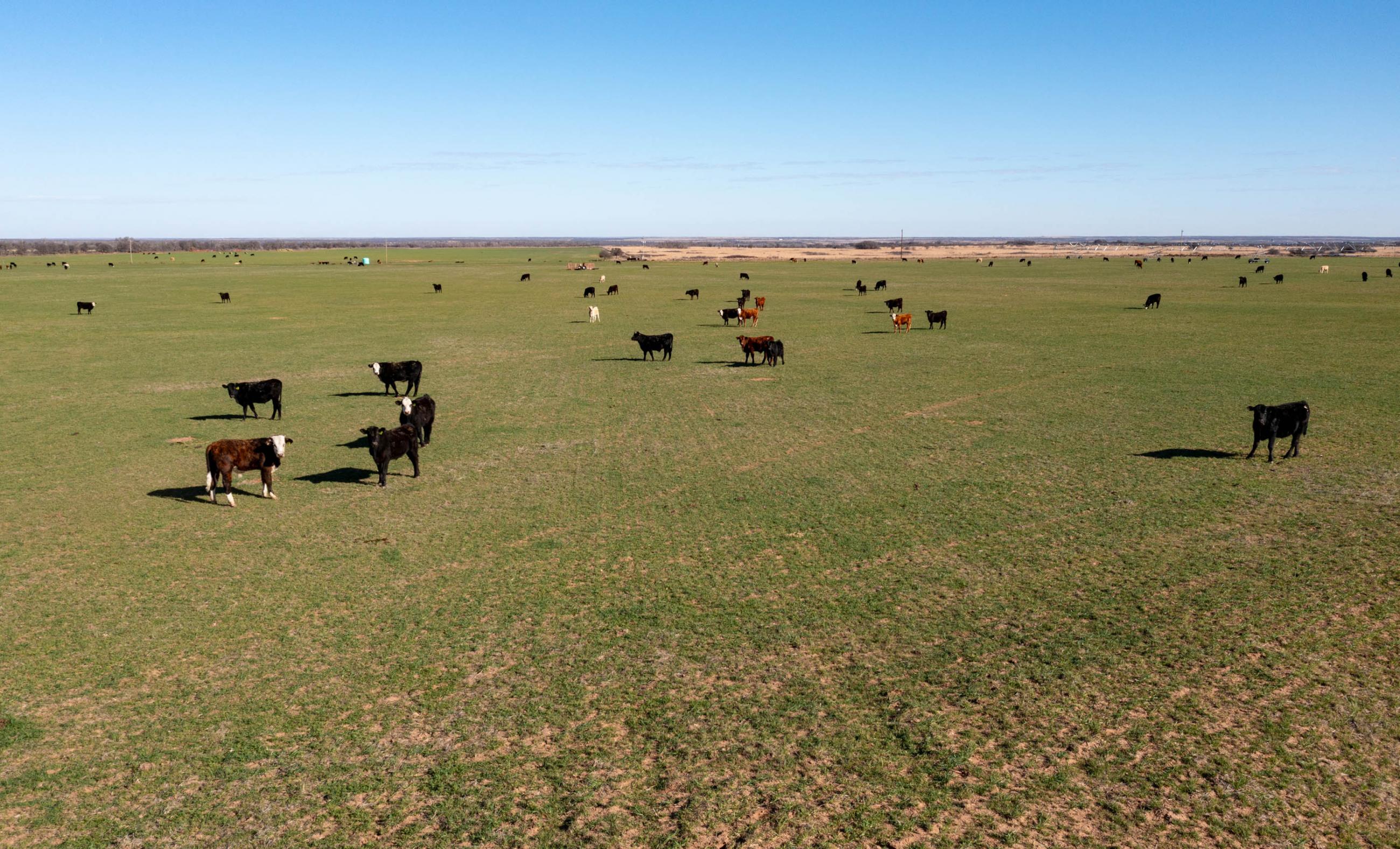Garden Valley Land & Cattle Co. property photograph 34