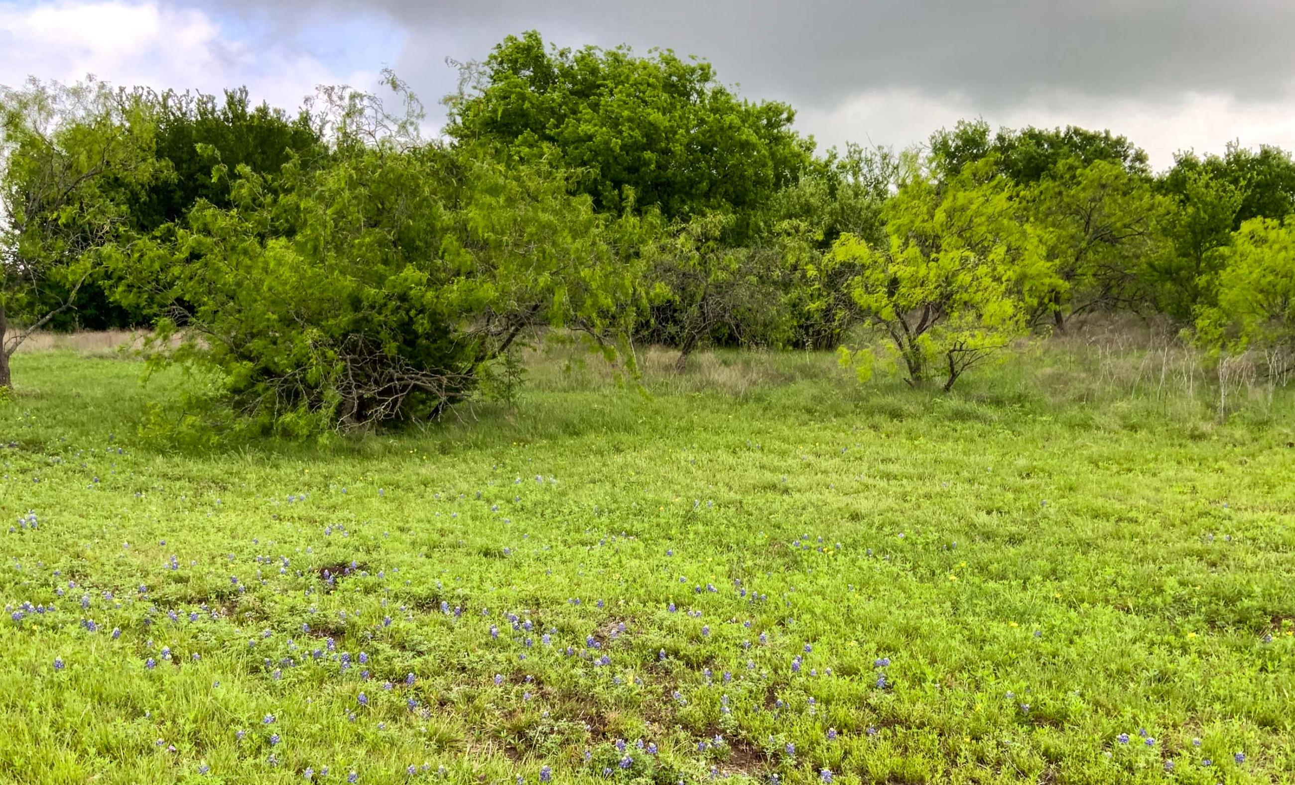 3AM Ranch property photograph 9