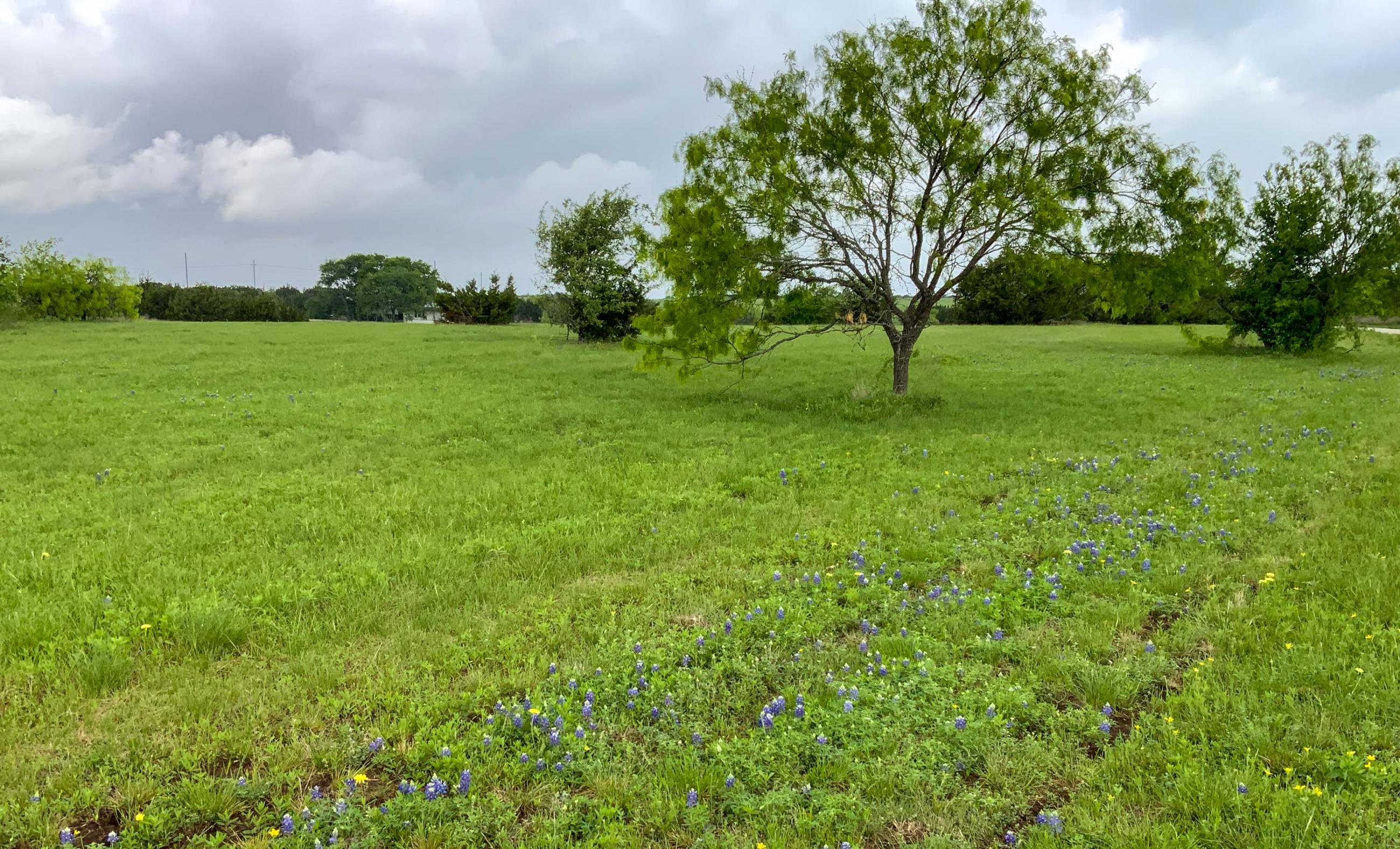 3AM Ranch property photograph 12