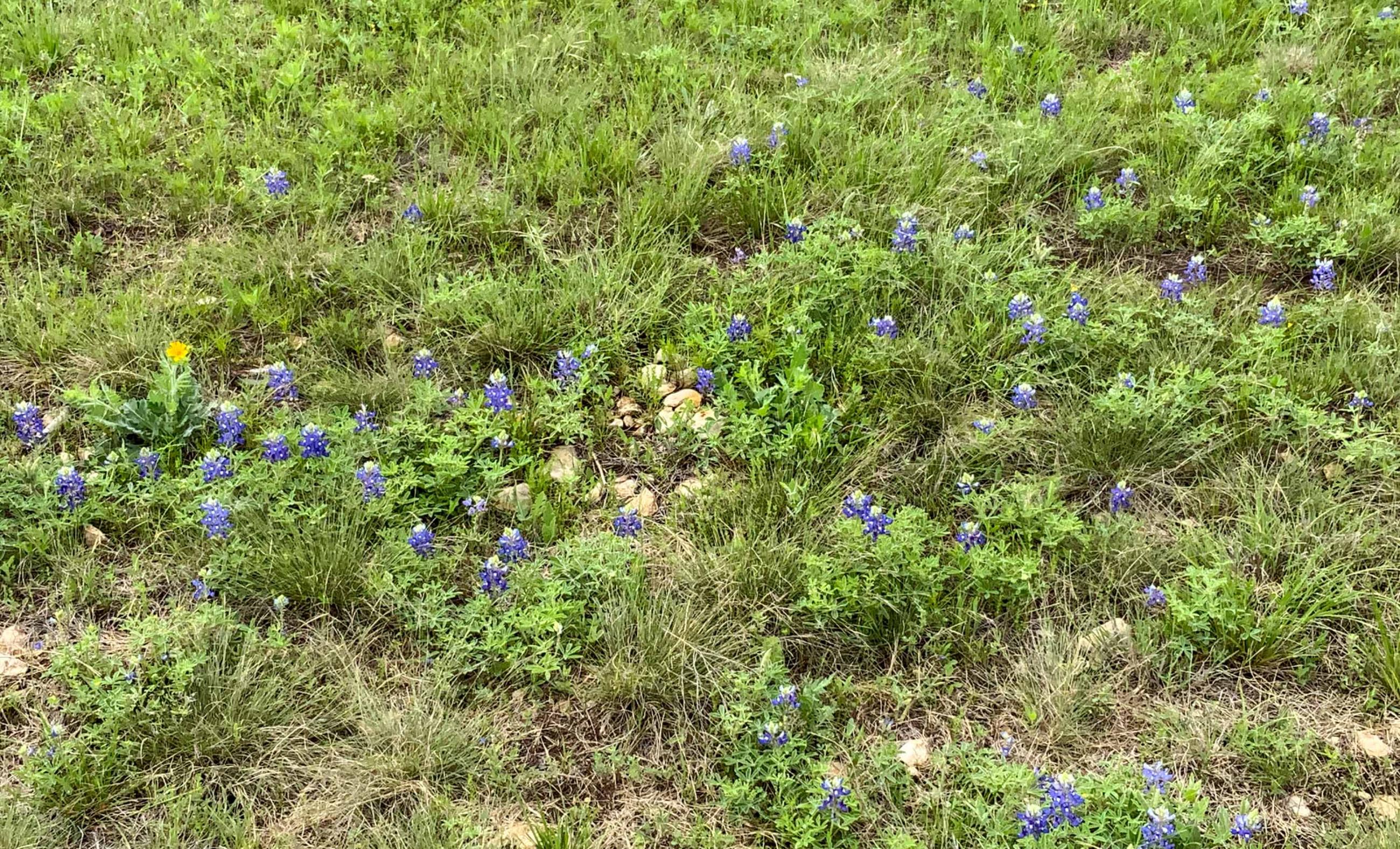 3AM Ranch property photograph 19