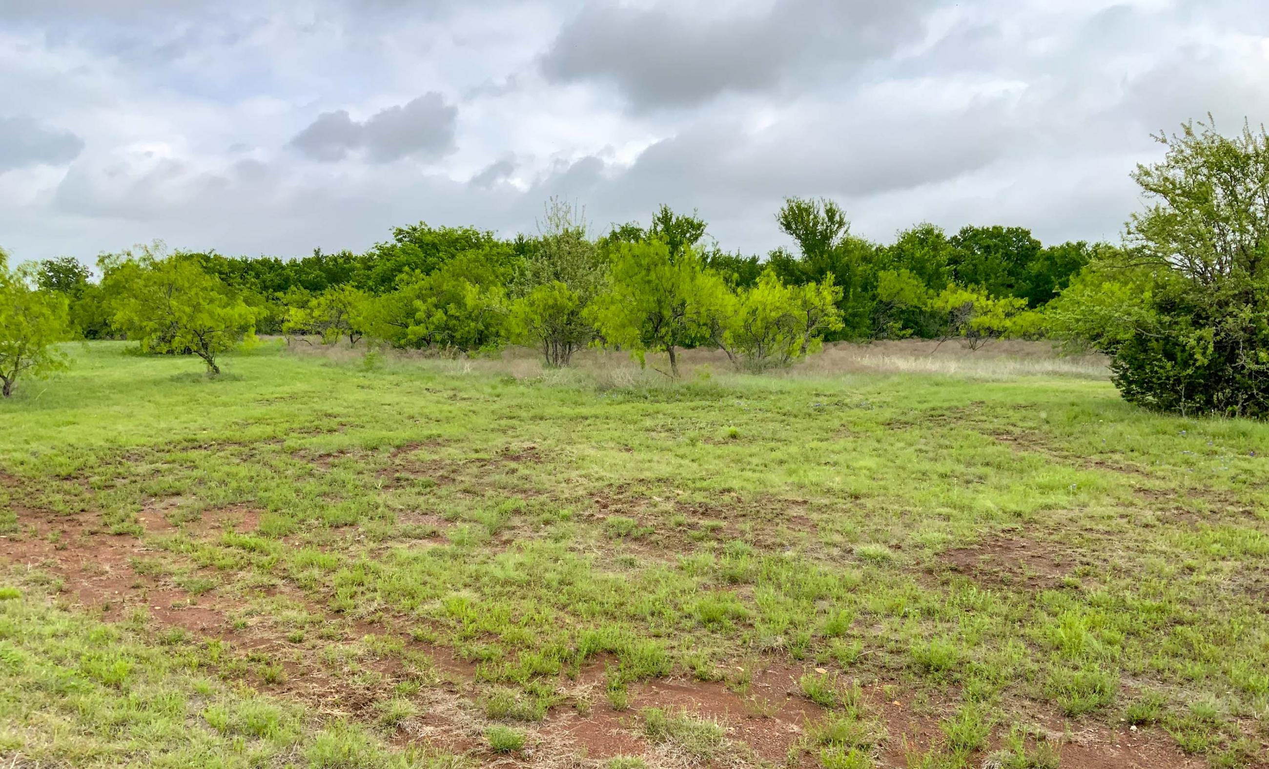 3AM Ranch property photograph 16