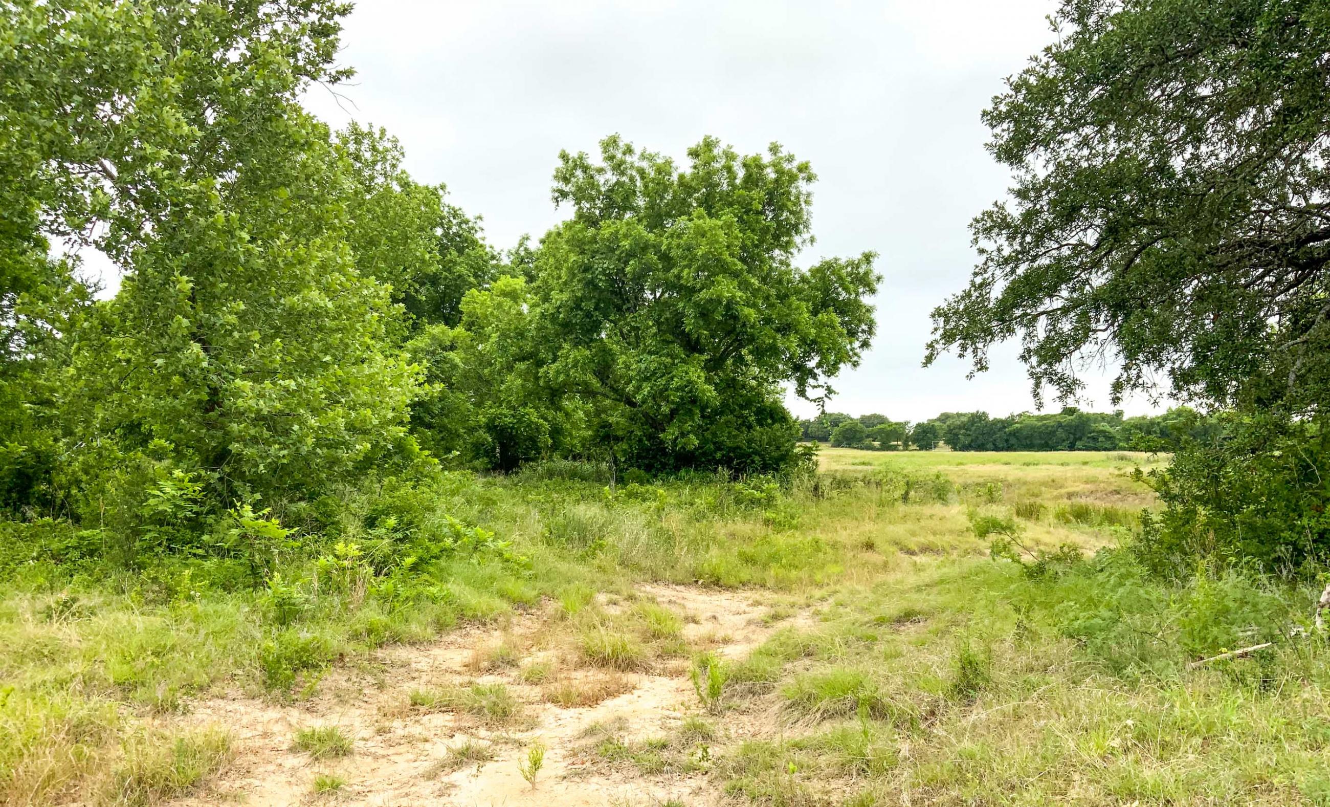 Twin Oaks Ranch property photograph 12