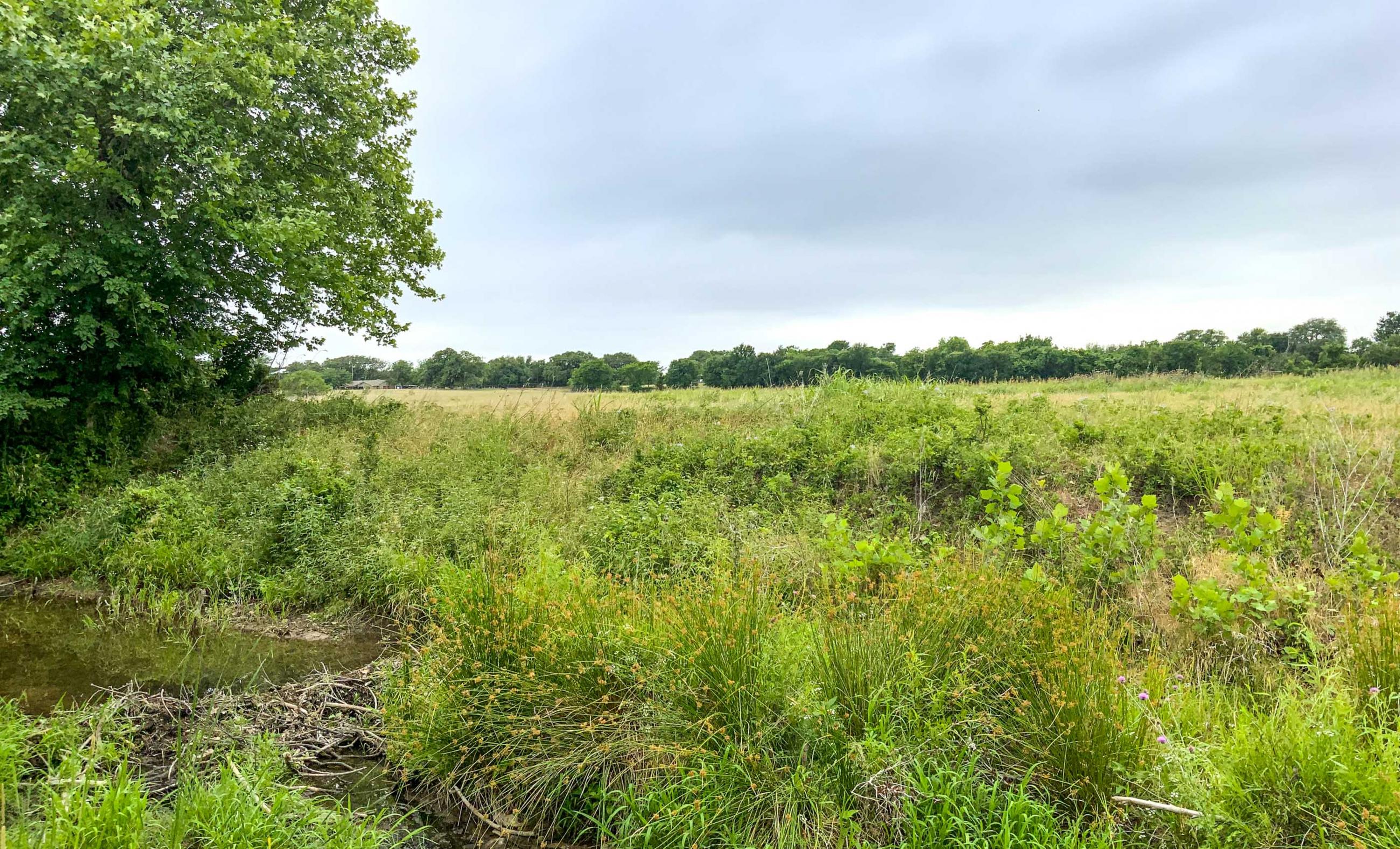 Twin Oaks Ranch property photograph 10