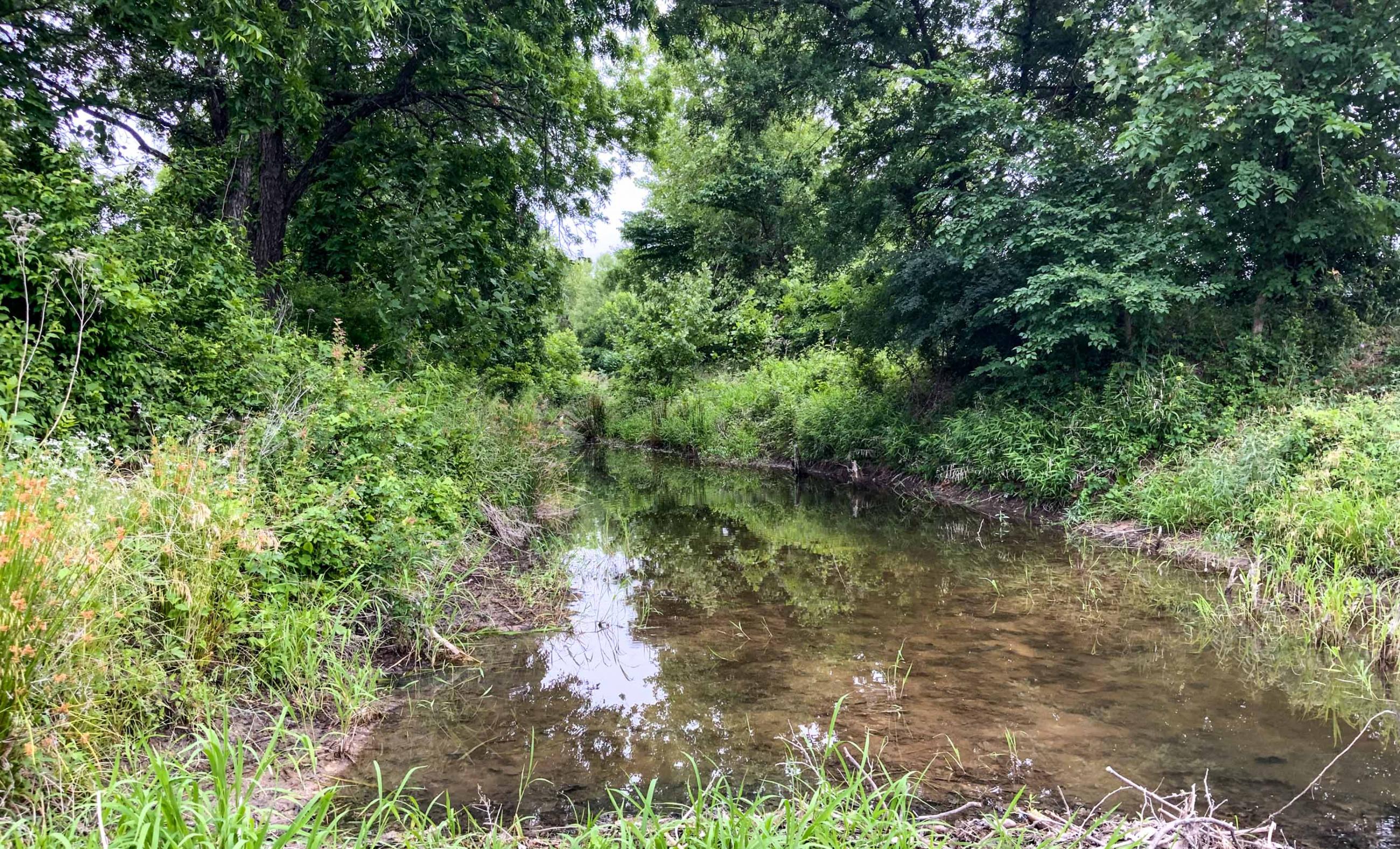 Twin Oaks Ranch property photograph 15