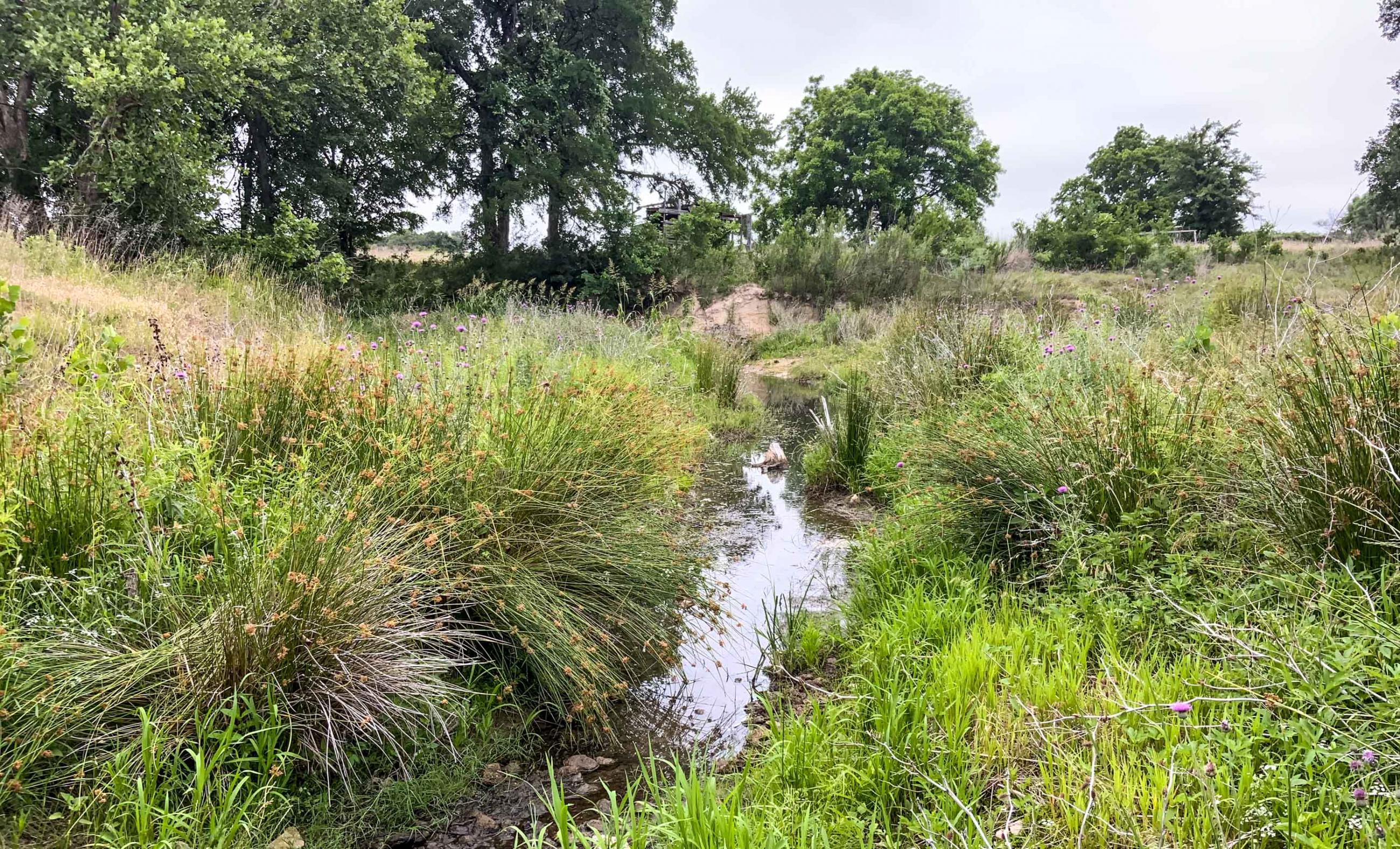 Twin Oaks Ranch property photograph 16