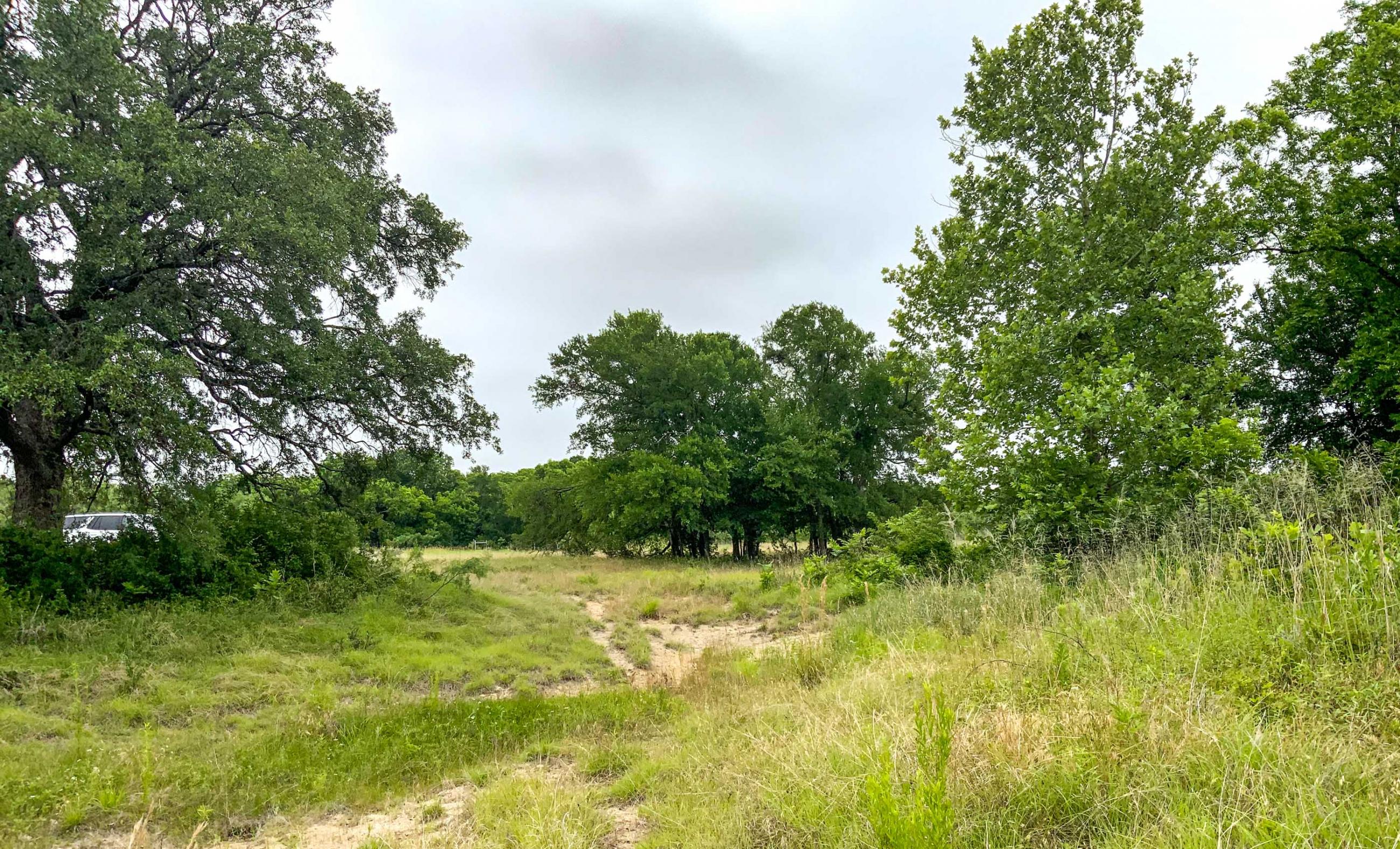 Twin Oaks Ranch property photograph 8