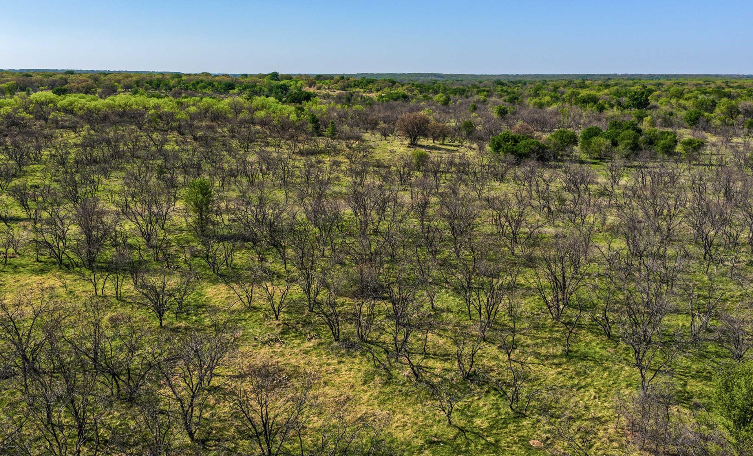 Oak Creek Ranch property photograph 25