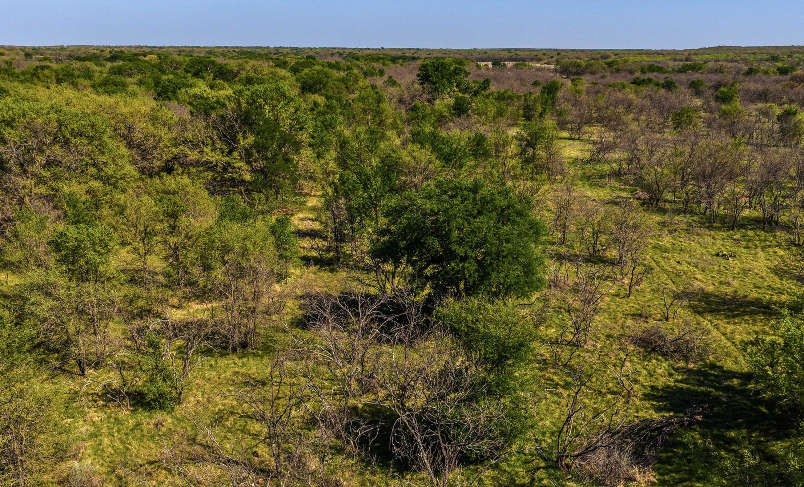 Oak Creek Ranch property photograph 20