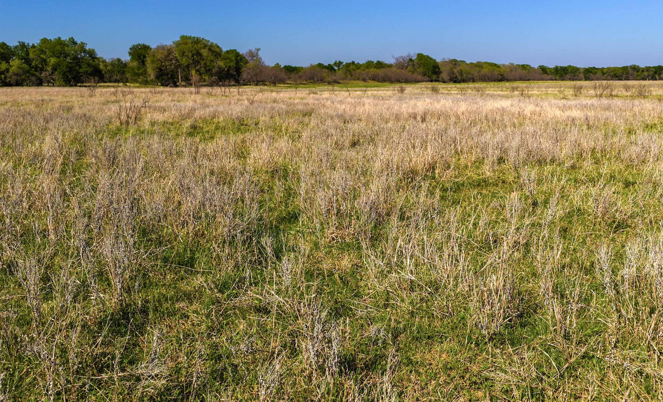 Oak Creek Ranch property photograph 23