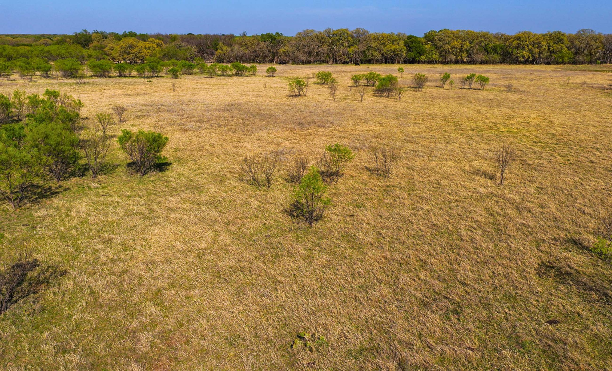 Oak Creek Ranch property photograph 31