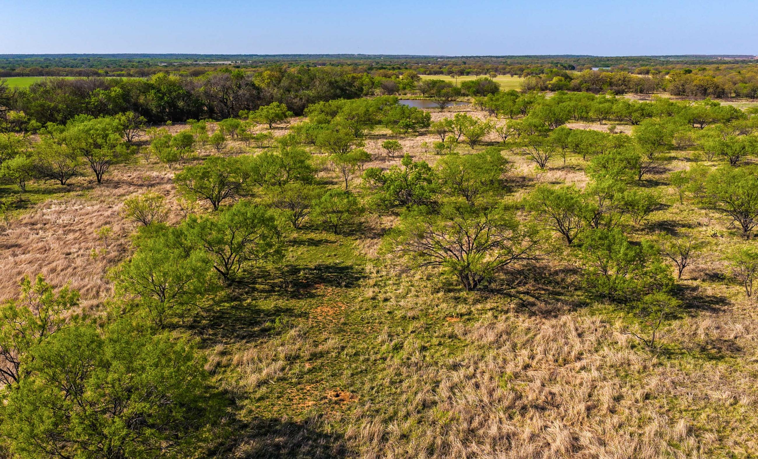 Oak Creek Ranch property photograph 12