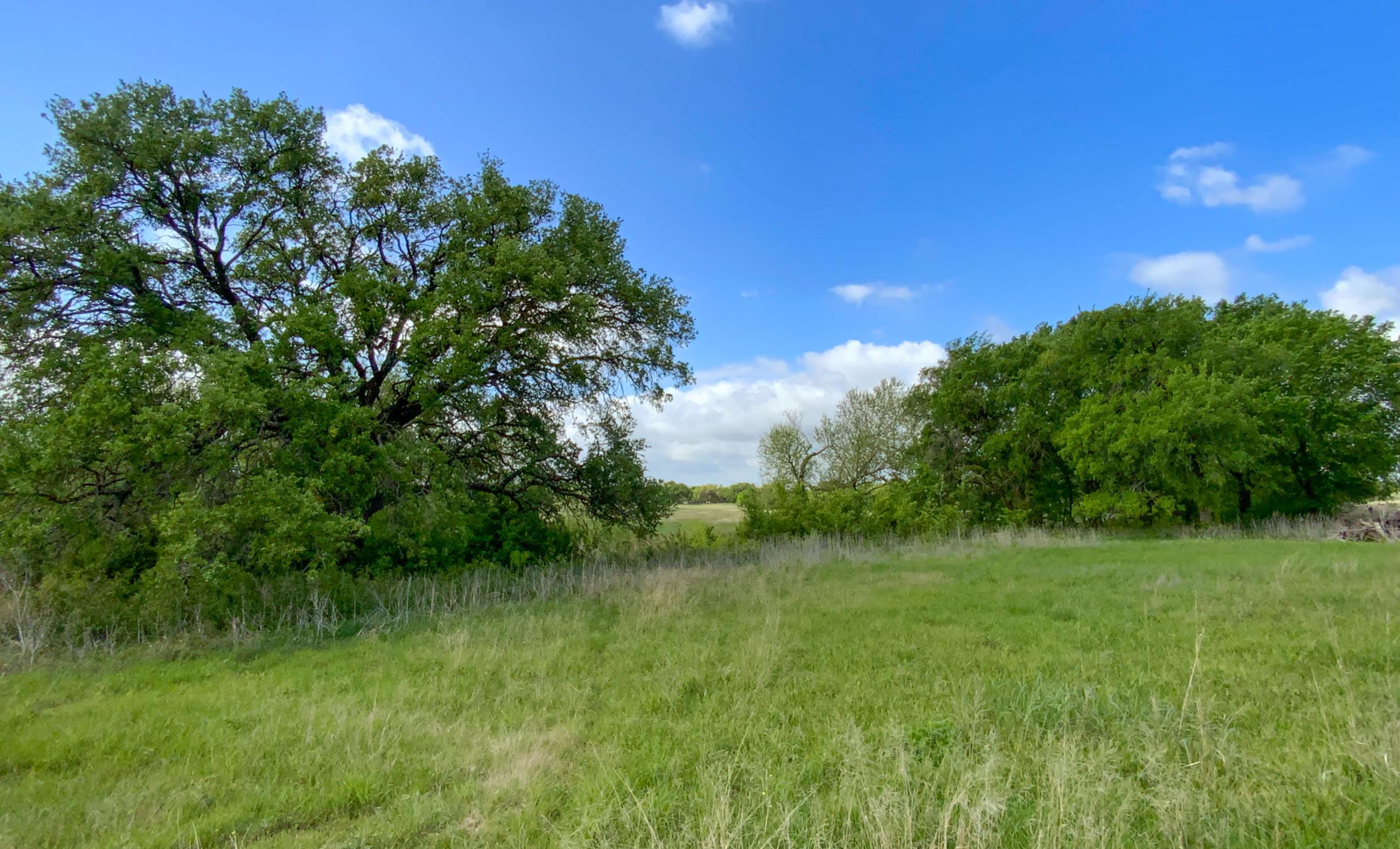 Twin Oaks Ranch property photograph 7